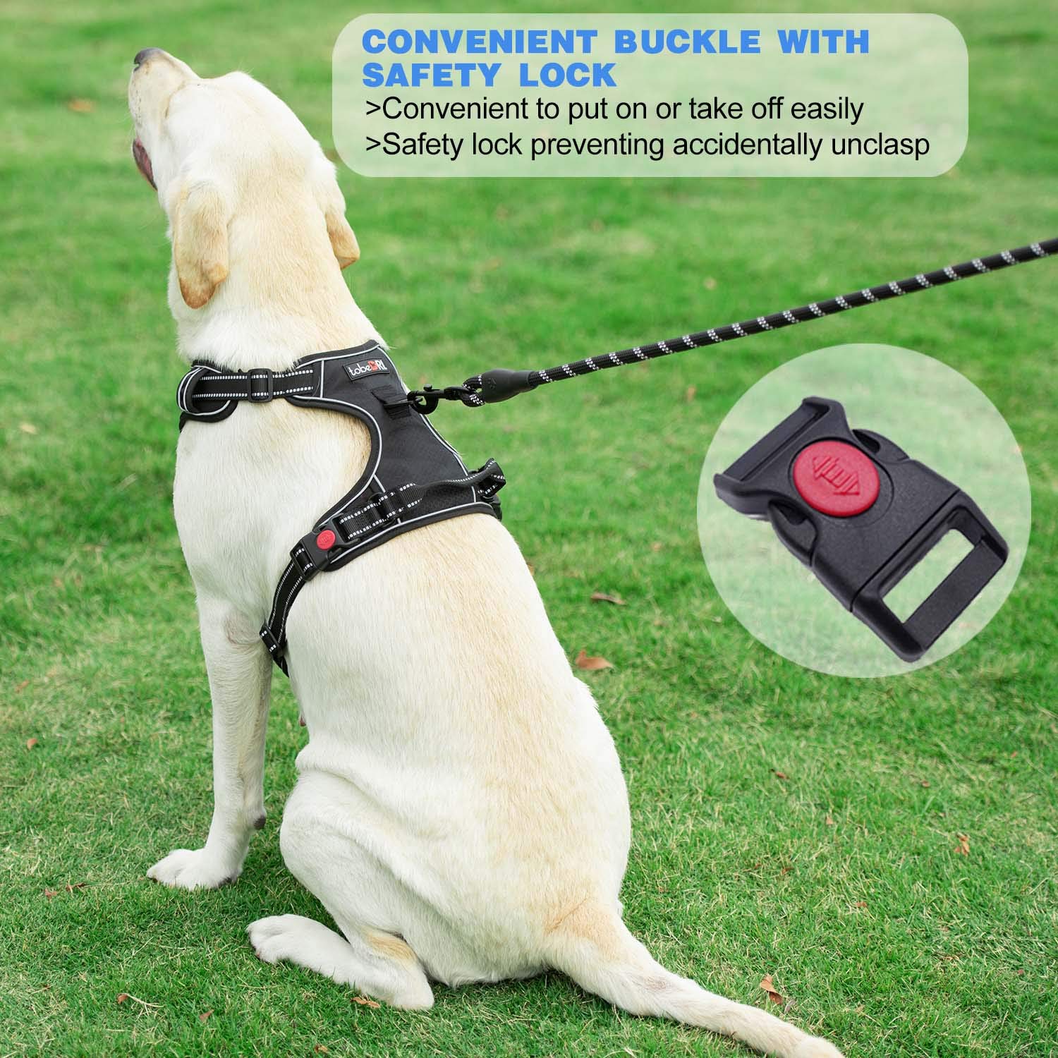 Tobedri No Pull Dog Harness Adjustable Reflective Oxford Easy Control Medium Large Harness With A Free Heavy Duty 5Ft Dog Leash