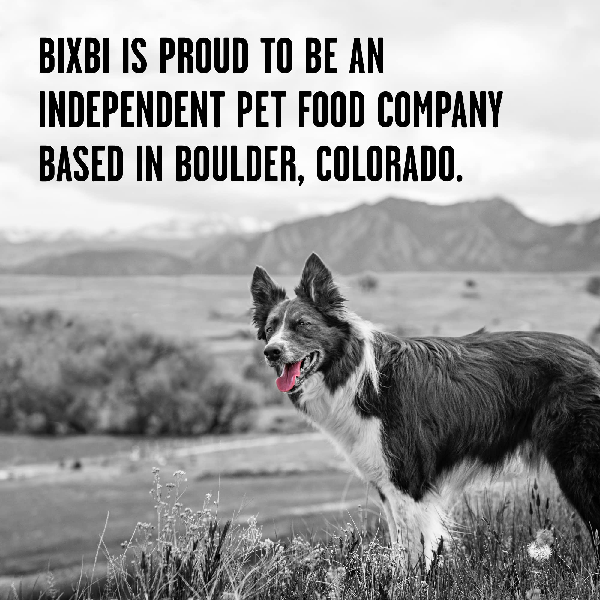 BIXBI Rawbble Dry Dog Food, Lamb, 24 lbs - USA Made with Fresh Meat - No Meat Meal & No Corn, Soy or Wheat - Freeze Dried Raw Co