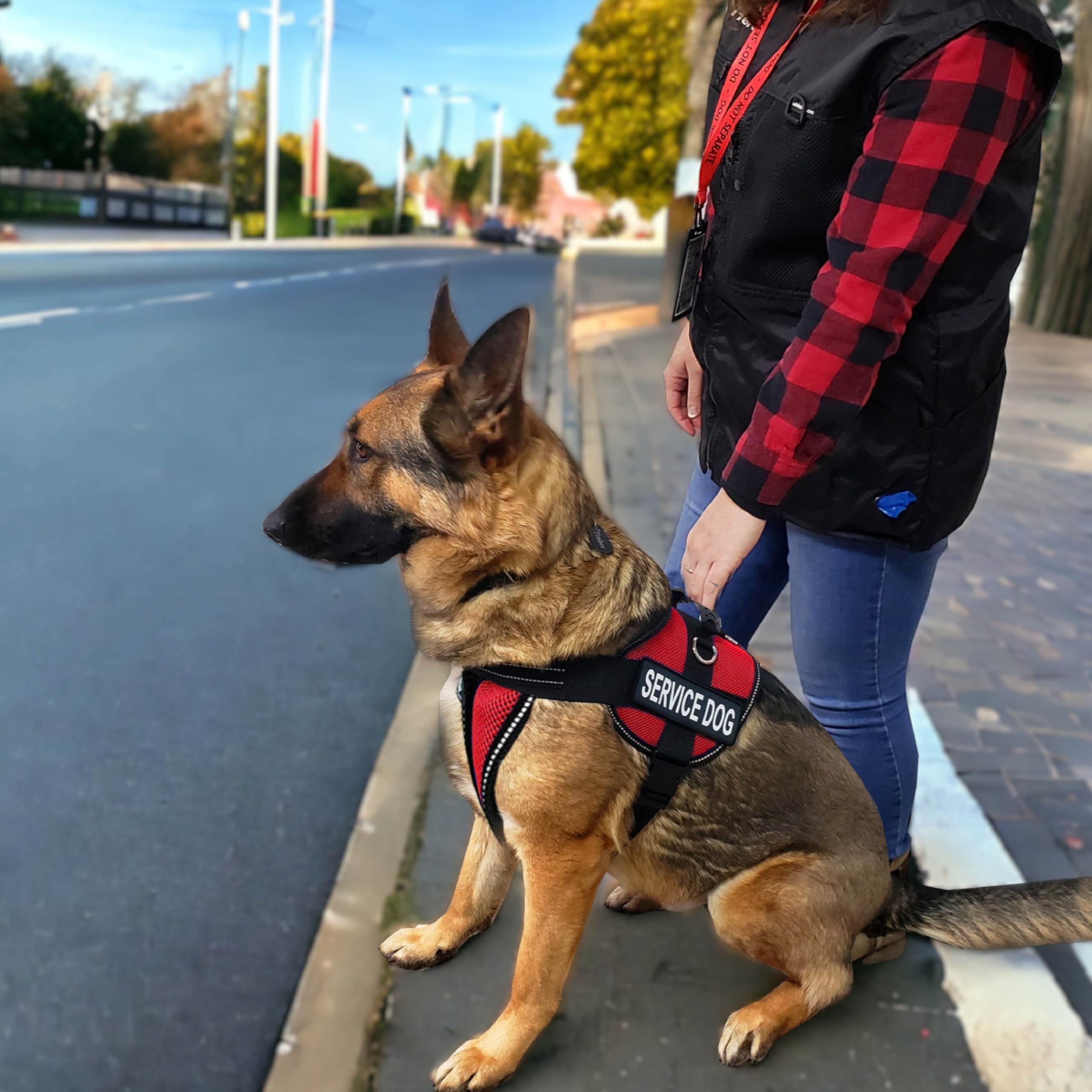 Activedogs Full Service Dog Kit - Small Red - Service Dog Vest Harness With Handle, Service Dog Id, Id Holder, Ada Service Dog Cards, Medical Alert Keychain, Service Dog Leash & Service Dog Patches