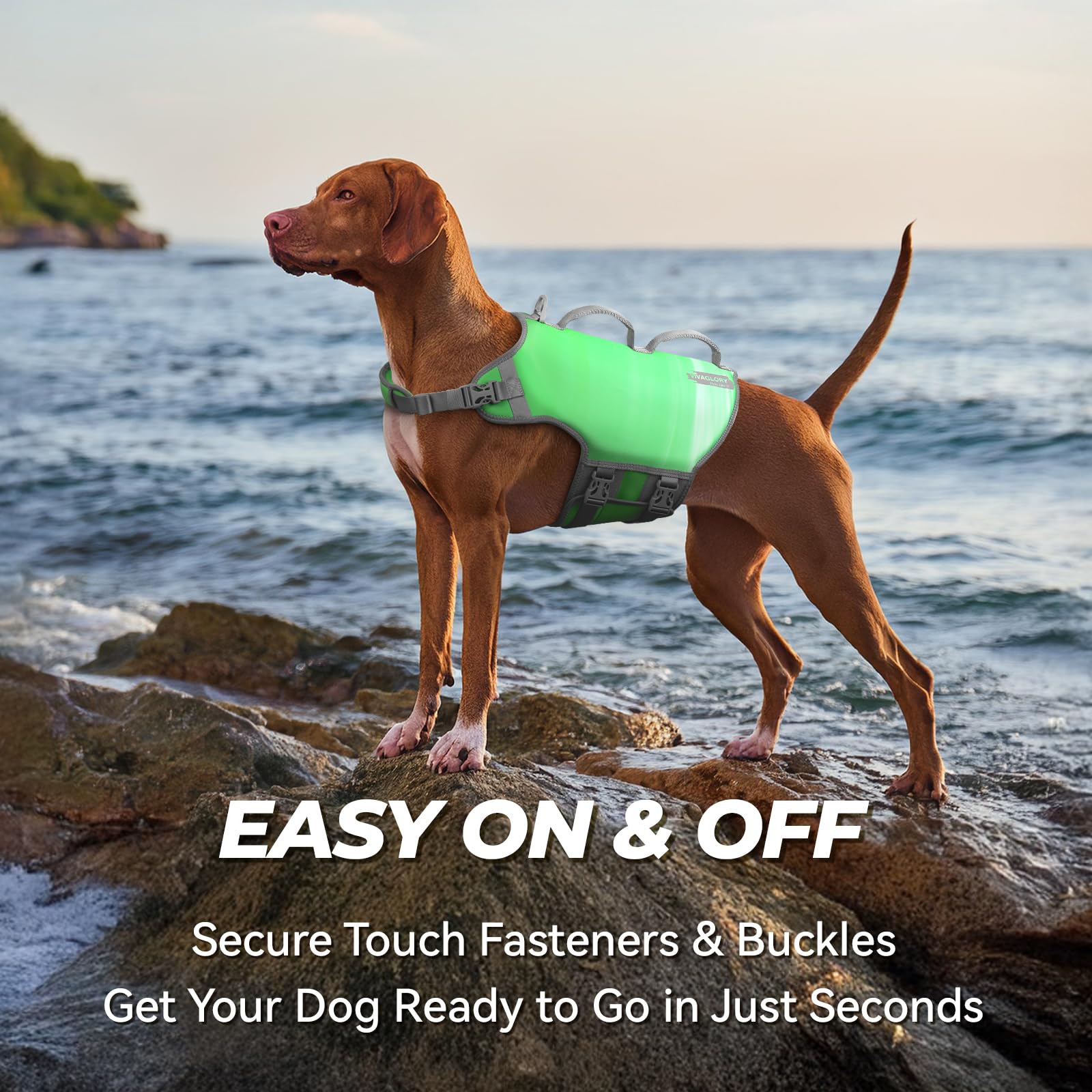 Vivaglory Neoprene Dog Life Jacket Dog Swim Vest For Boating Hunting & Swimming, Lightweight With Leash Ring, Xl, Grape Green