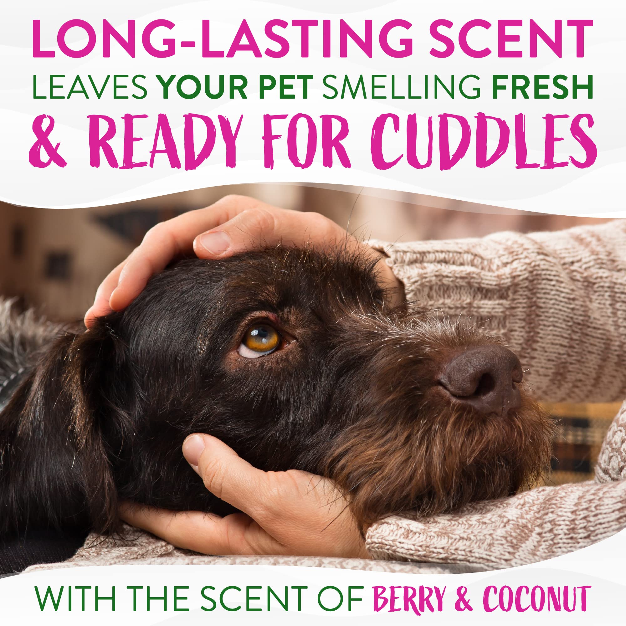 Tropiclean No Rinse Waterless Dog Shampoo | Detangling And Deodorizing Dry Shampoo For Smelly Pets | Moisturizes Dry Skin | Usa