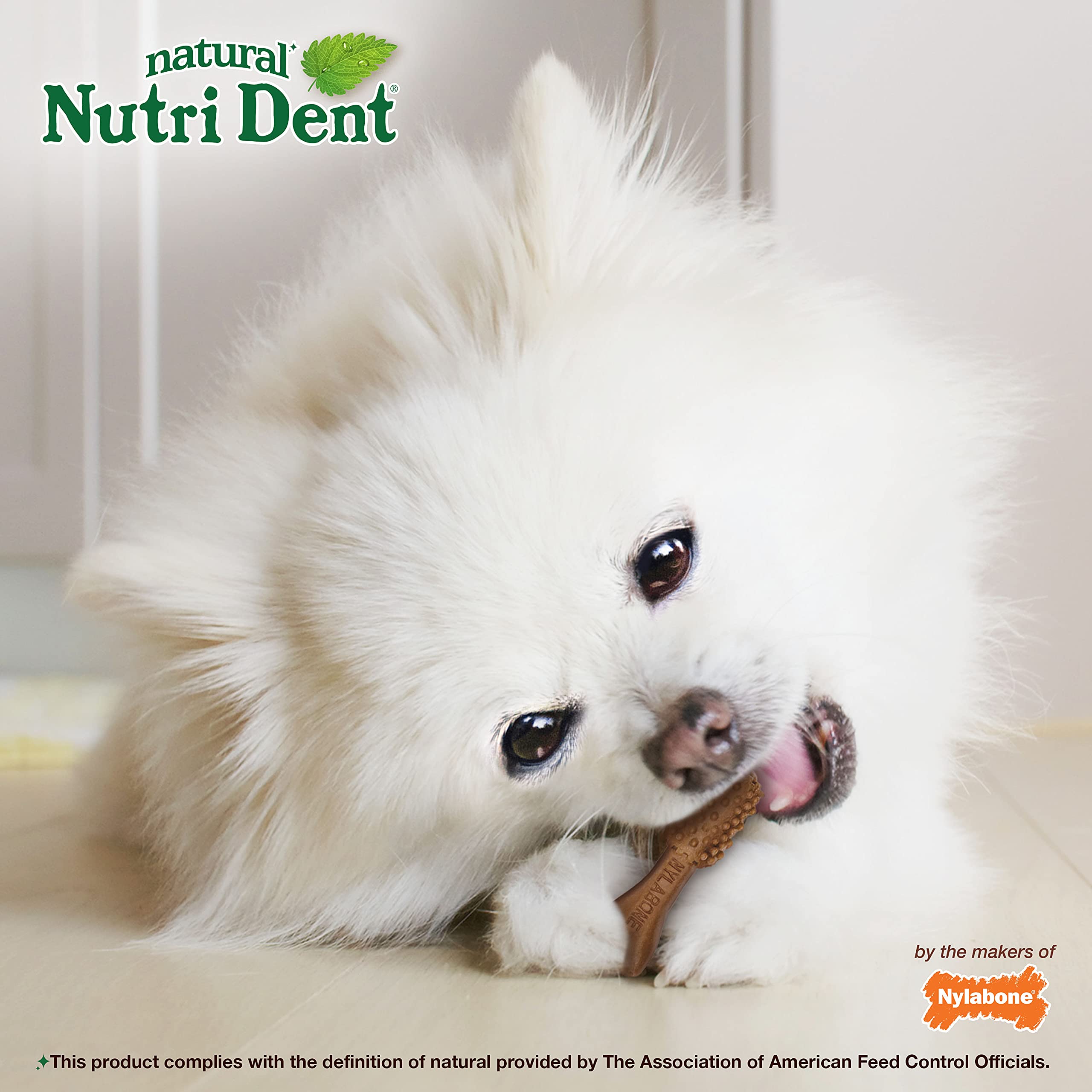 Nylabone Nutri Dent Dog Dental Treats - Natural Dog Teeth Cleaning & Breath Freshener - Dental Treats for Dogs - Filet Mignon Fl