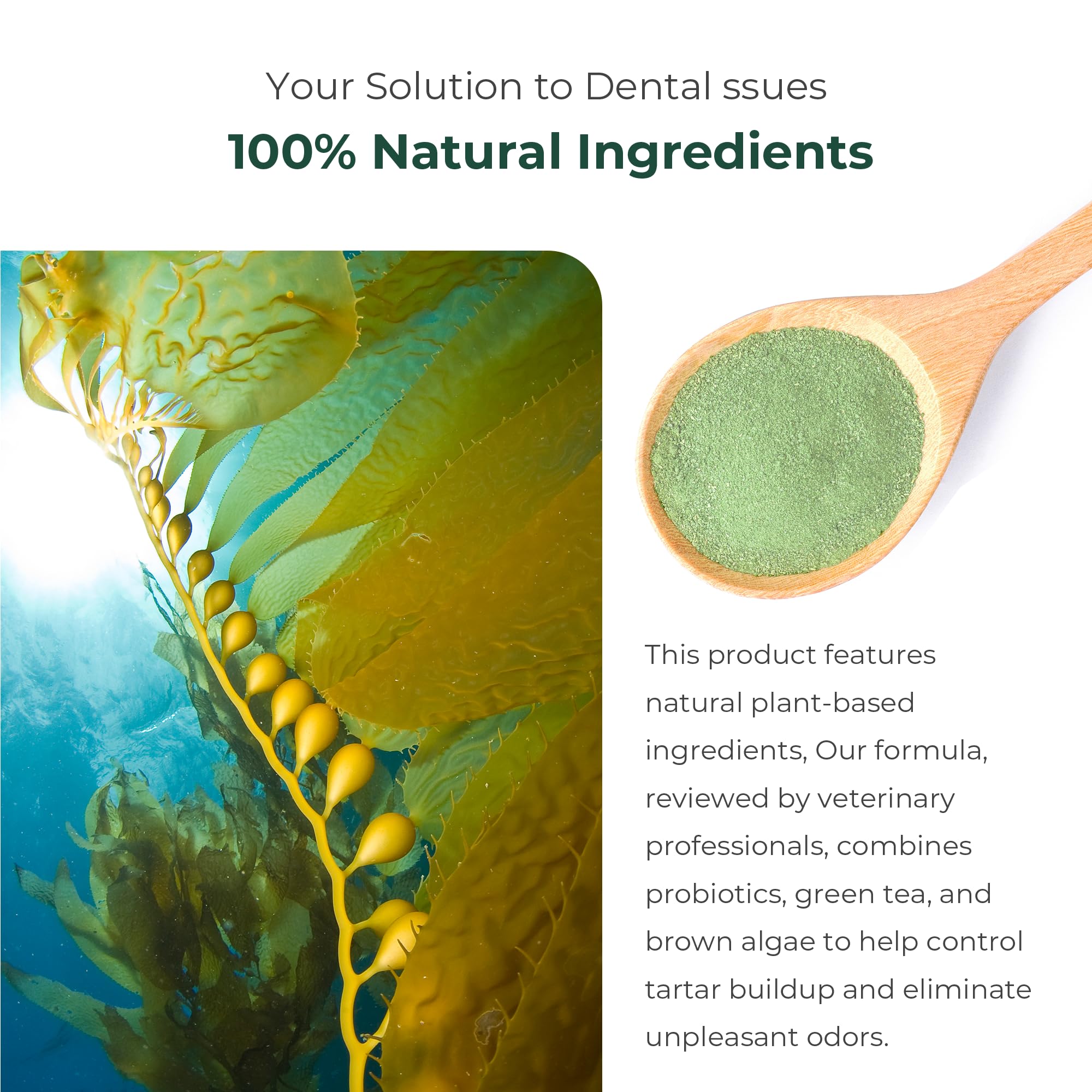 Dog Dental Powder - Dog Teeth Cleaning Powder - Dog Dental Care - Plaque & Bad Breath Off Powder Dog - Dental Care Supplies for