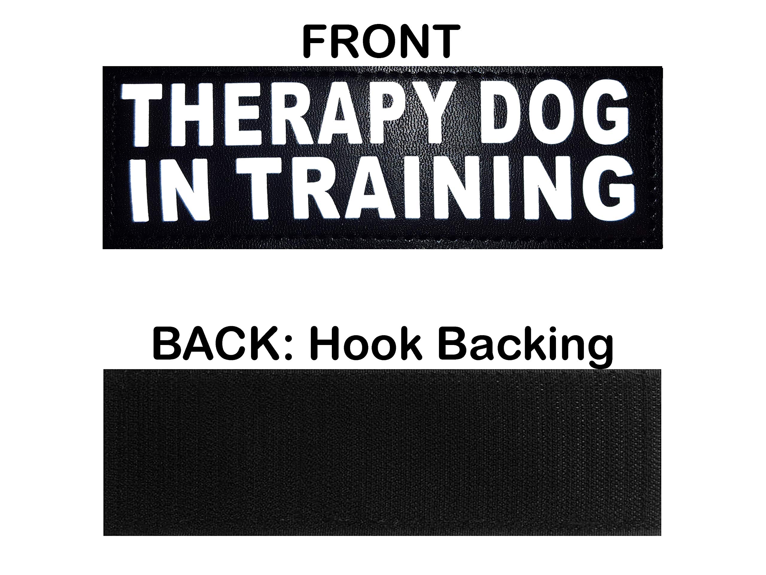 Doggie Stylz Set Of 2 Reflective Therapy Dog In Training Reflective Removable Patches With Hook Backing For Working Dog Harnesses & Vests. 3 Sizes Small, Medium And Large (Small 3'X1')