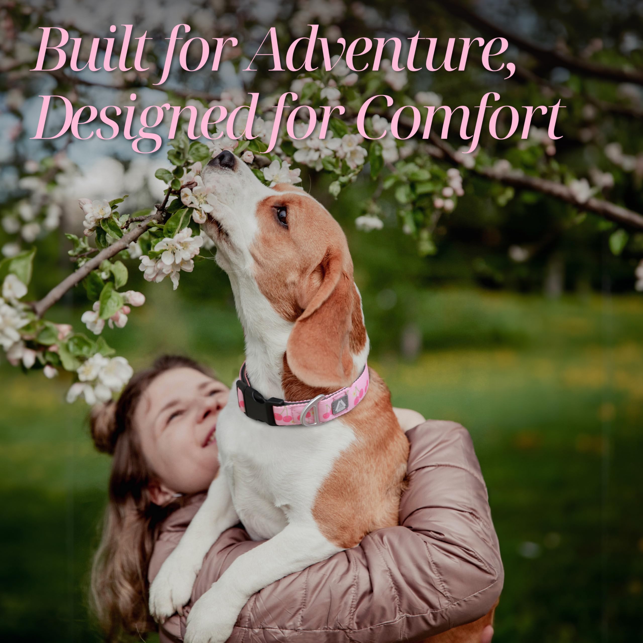 Jc House Medium Dog Collar With Reflective Logo And Soft Padded Neoprene,Pink Cherry Design, Adjustable,Lightweight & Durable, N
