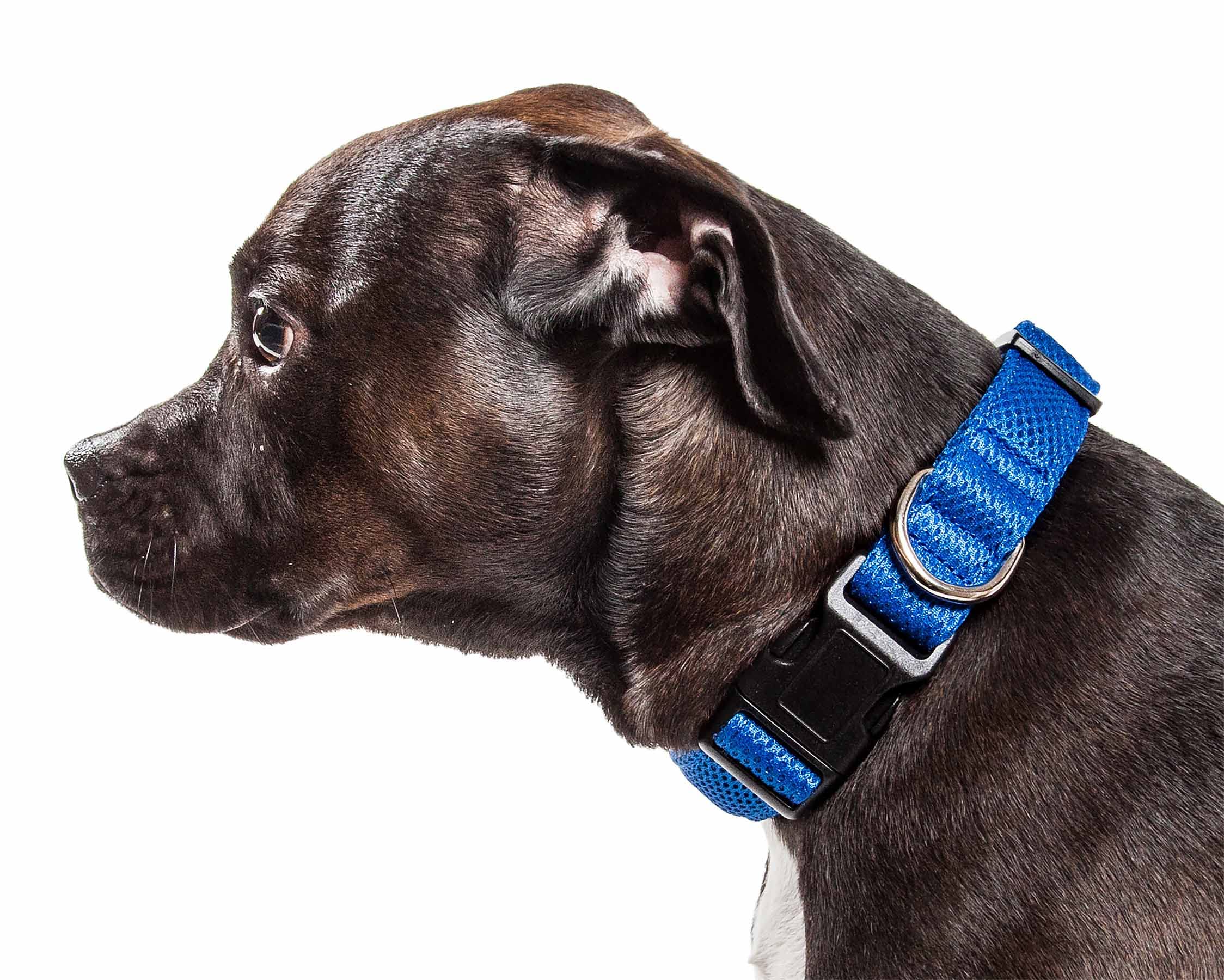 Pet Life ® 'Aero Mesh' Dual Sided Comfortable and Breathable Adjustable Pet Collar - Mesh Dog Collar with Stainless stell Dog Leash Connection Ring Small