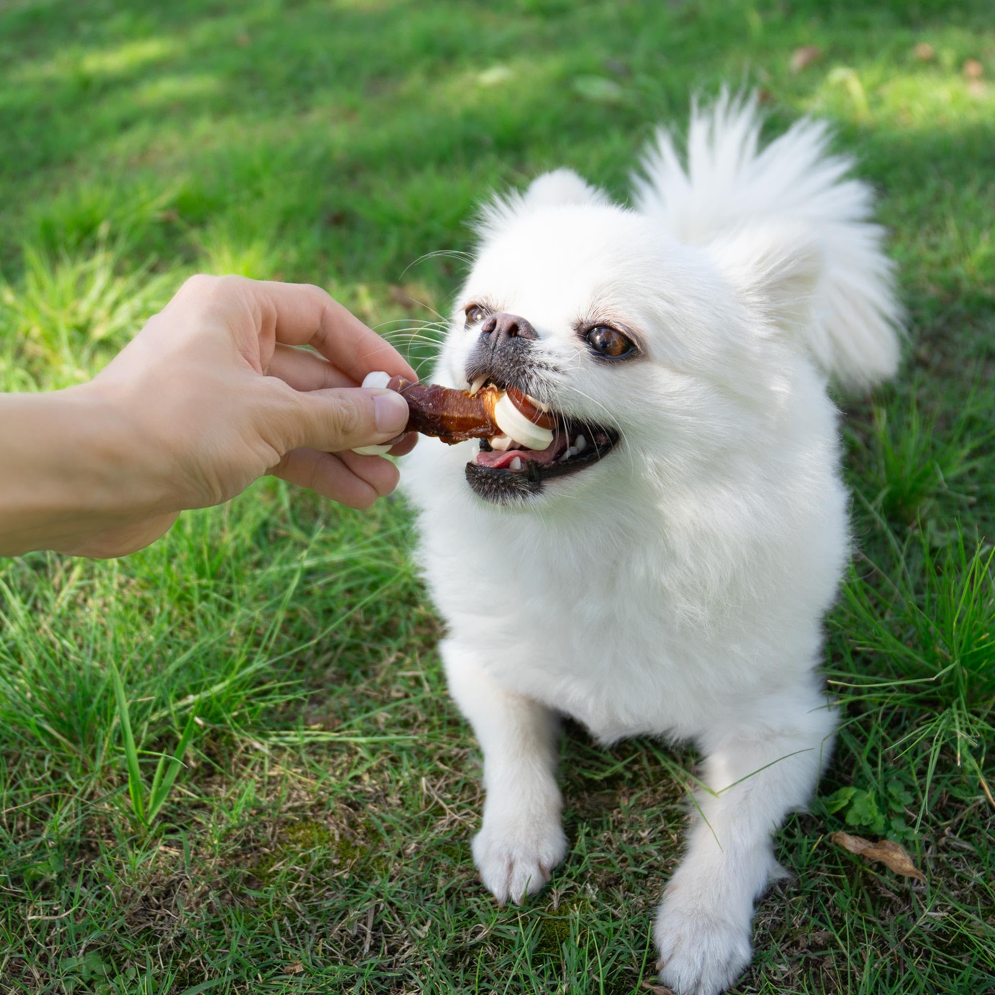 MON2SUN 2.5  Rawhide Free Dog Treats with Mixed Vegetables, Duck Wrapped Mini Knot Bones for Small Dogs, Healthy Snacks for Bala