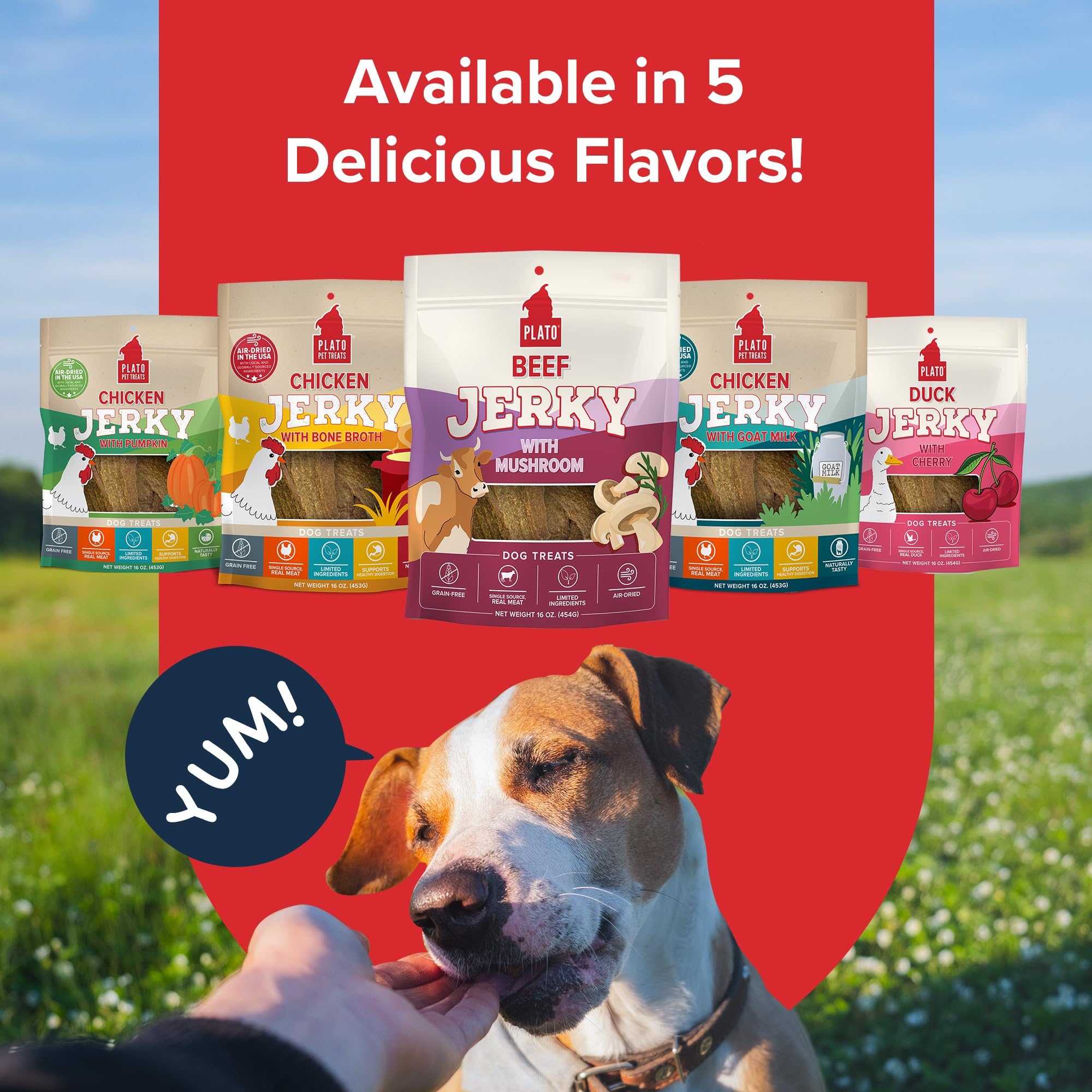 PLATO Jerky Dog Treats - Grain Free, High Protein Beef with Mushroom - 16oz