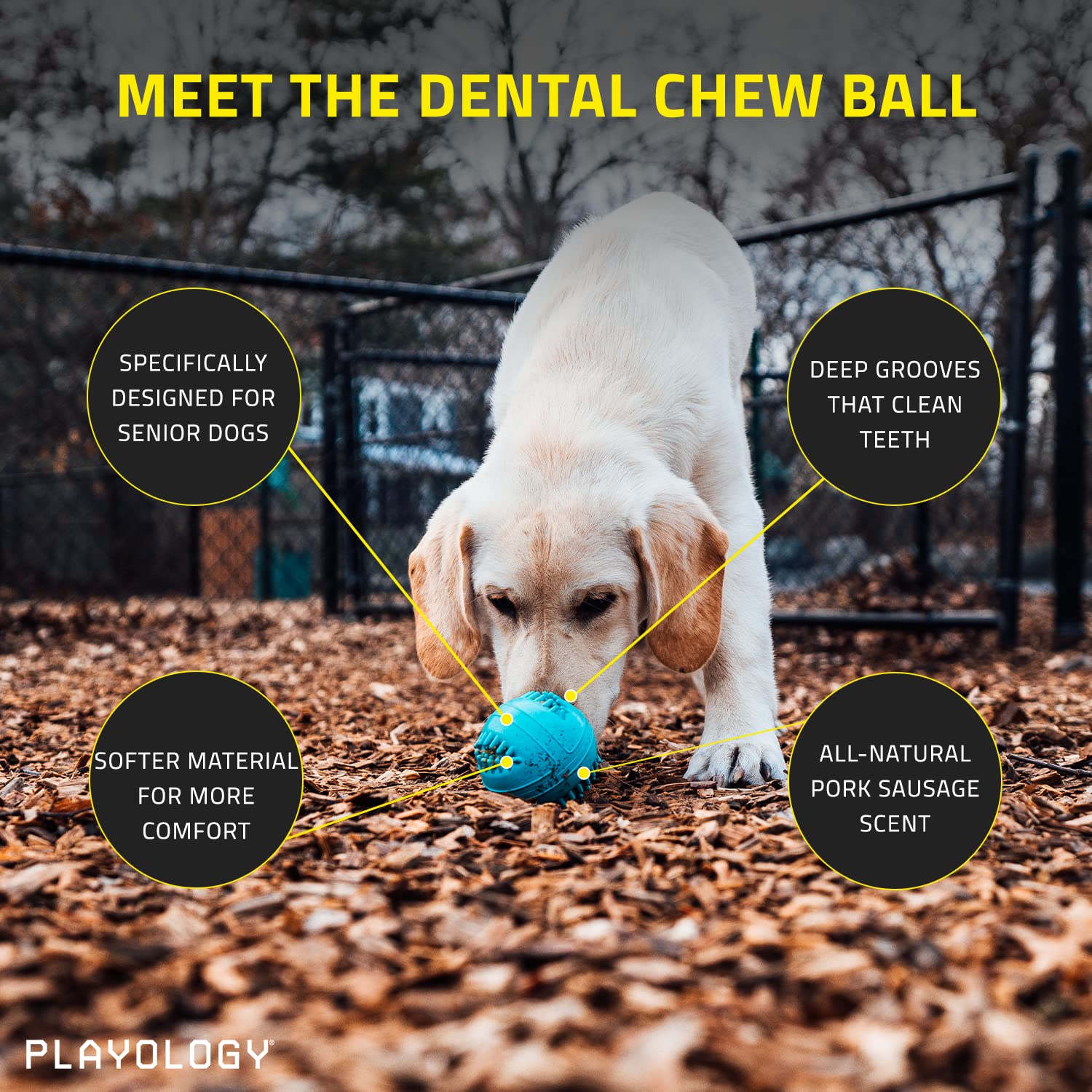 Playology Silver - Dental Chew Ball Dog Toy, Large - Designed For Senior Dogs (35Lbs And Up) - Engaging All-Natural Peanut Butter Scent - Non-Toxic Materials And Moderate Chewing For Older Teeth