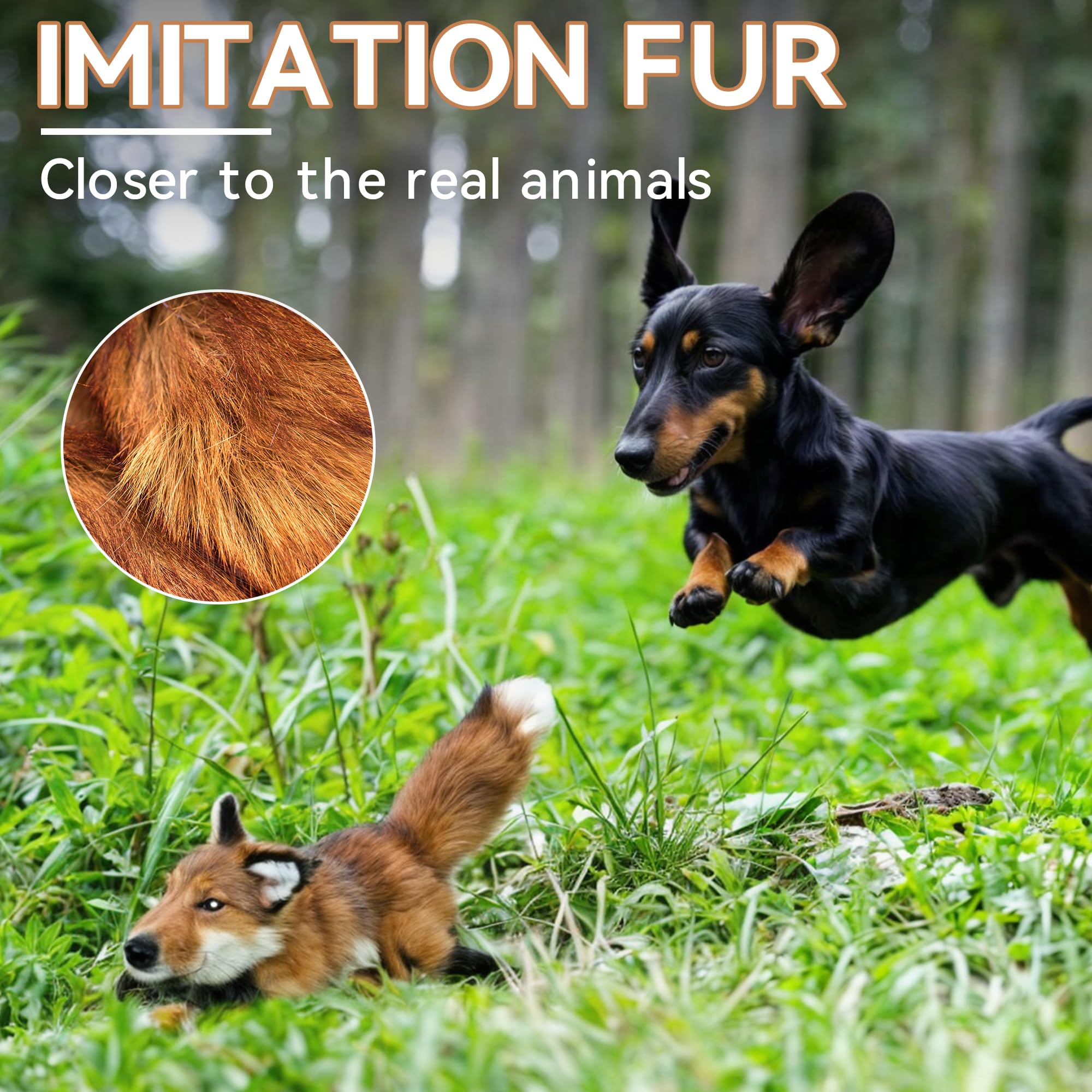 All For Paws Squeaky Dog Plush Toy - Interactive Fox Squirrel - Enrichment Toy For Large Dogs