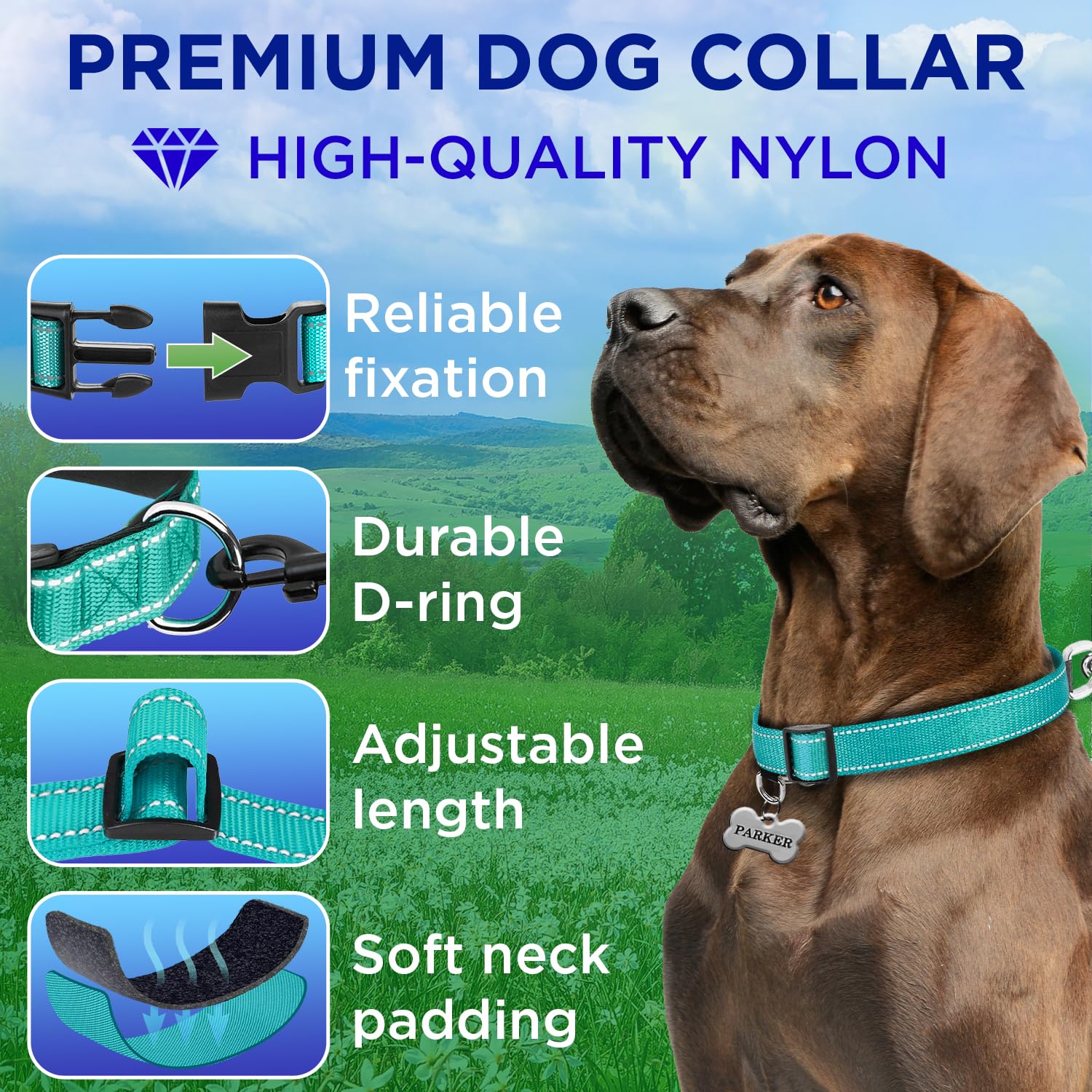 Teceum Reflective Pet Collar - Teal - M - Extra Soft Padding - Basic Nylon Dog Collar - Quick Release Buckle - Fits Small, Mediu