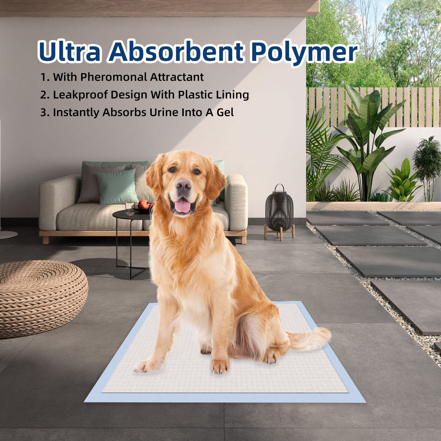 HONEY CARE Dog Training Pads, Ultra Absorbent, Leak-Proof, XXL 30"x36", Blue, Model A39, 30 Count