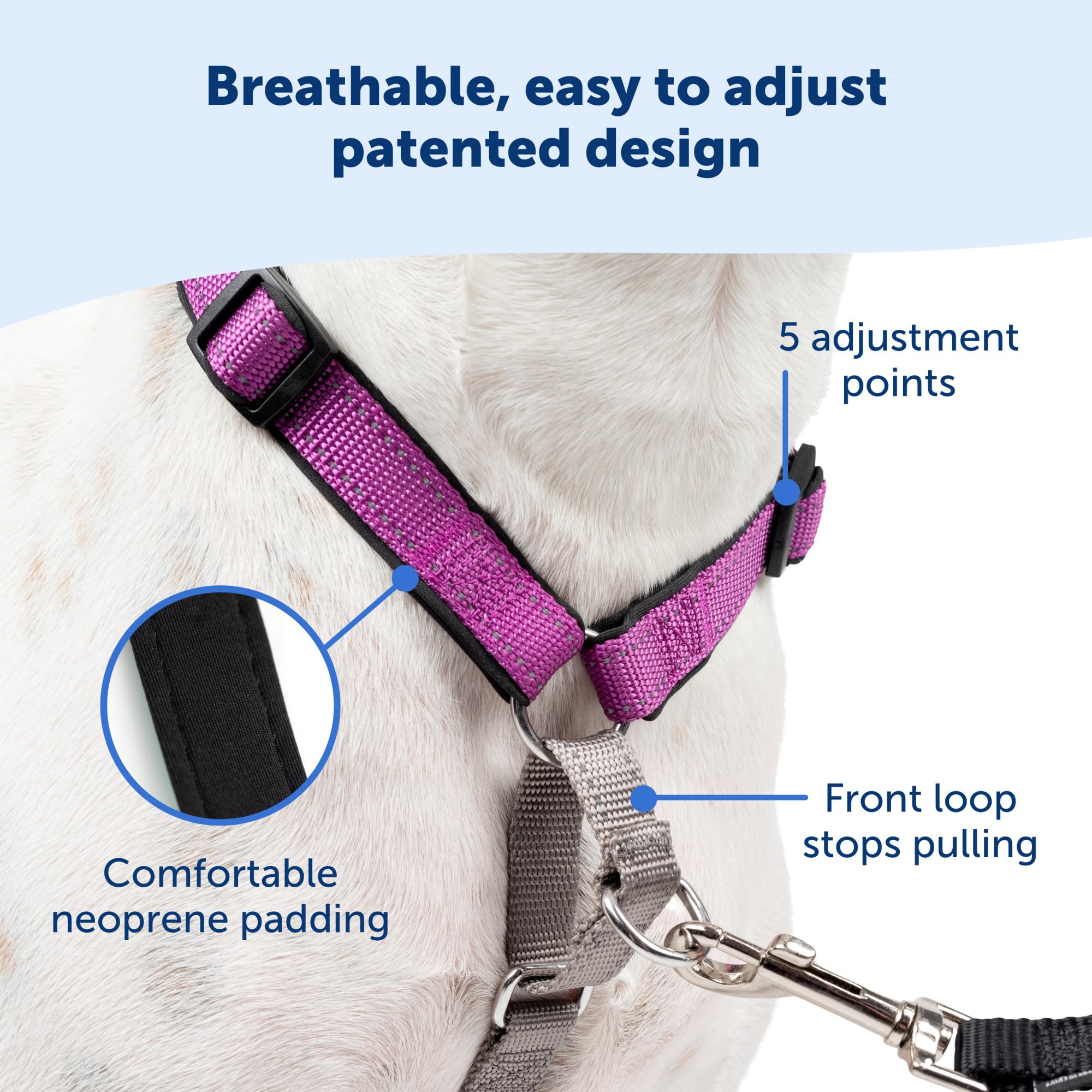 Petsafe 3 In 1 Dog Harness - No Pull Solution For Dogs - Reflective Dog Harness - Front D-Ring Clip Helps Stop Pulling - Comfortable Padded Straps - Top Handle Enhances Control - Teal - Extra Small