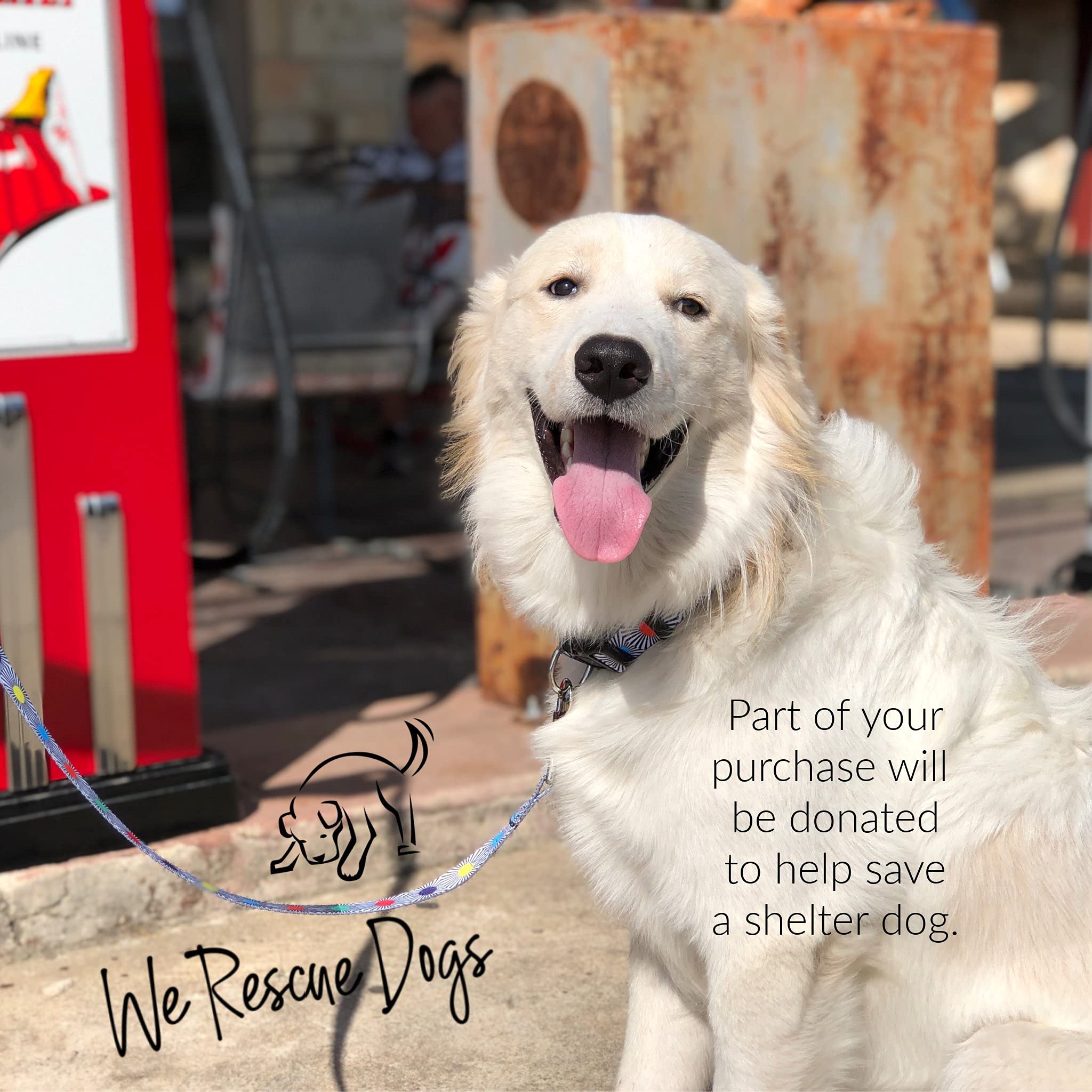 Lucky Love Dog, Adjustable Fun Style Collar And Leash Set For Dogs, Bright Color Matching Dog Collar And Leash - (Small, Soco Co