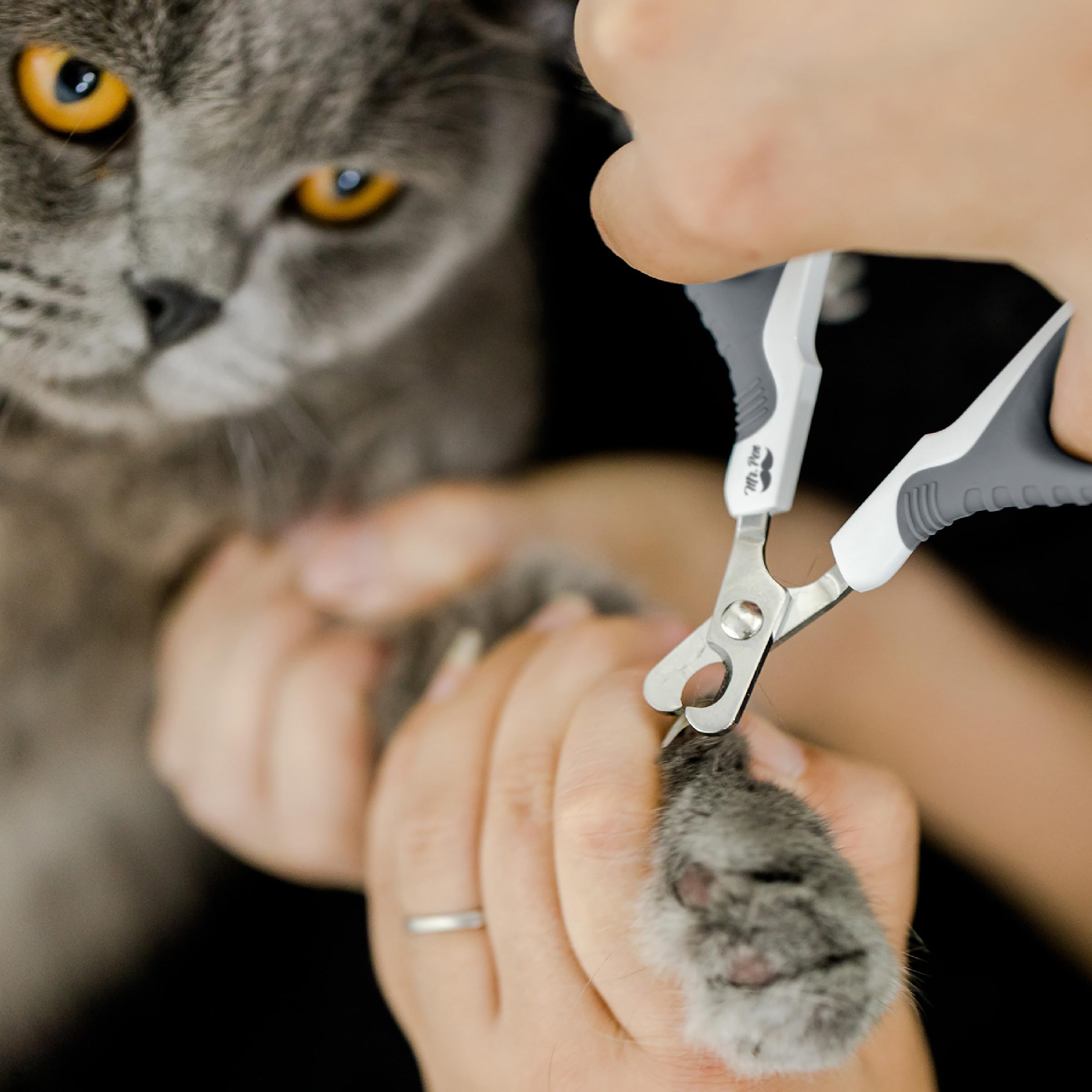 Mr. Pen- Cat Nail Clipper, White & Gray Cat Nail Trimmer, Cat Nail Clippers, Cat Claw Clippers, Cat Clippers For Nails, Pet Nail Clippers, Kitten Nail Clipper, Small Dog Nail Clipper Cat Claw Trimmer