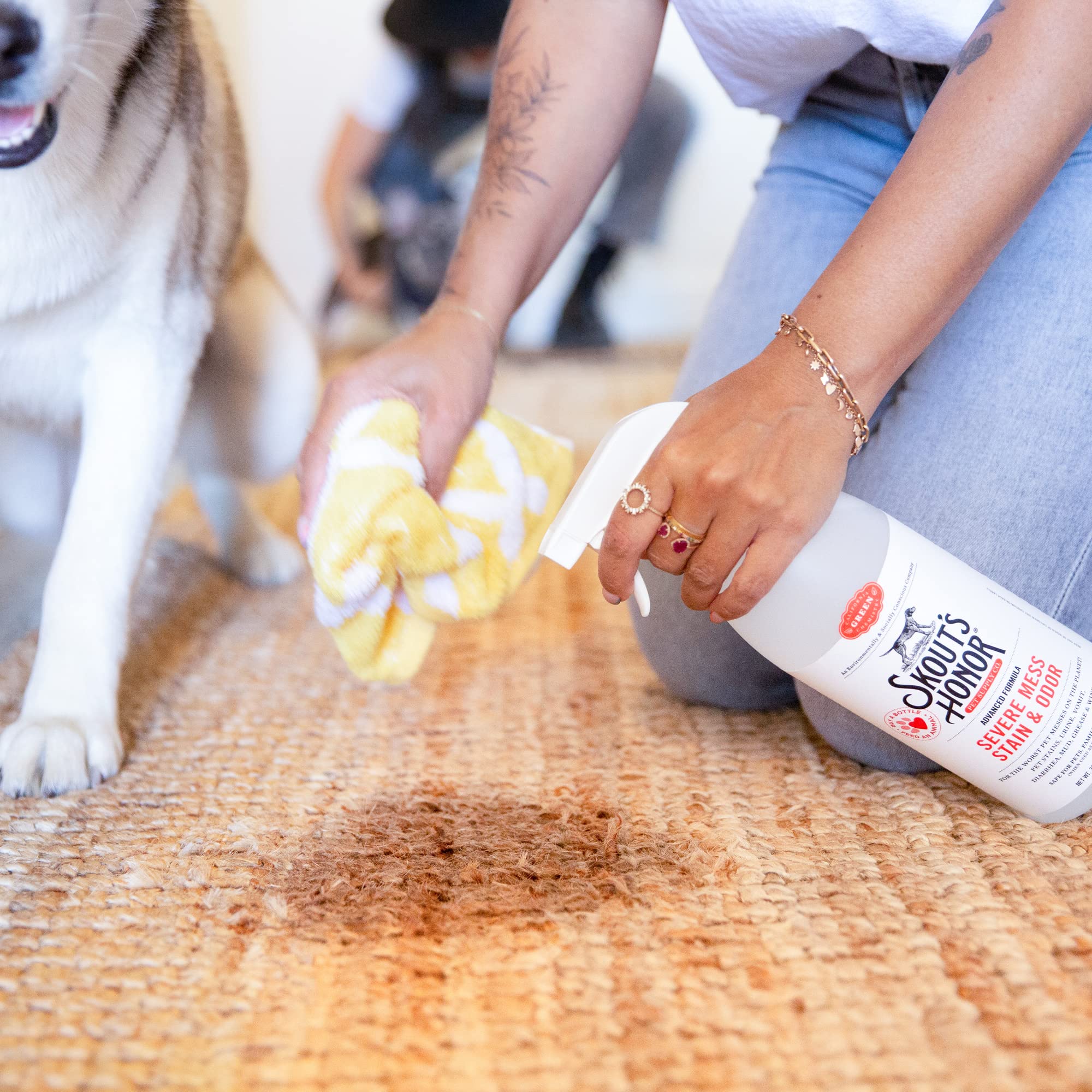Skout'S Honor Severe Mess, Stain And Odor Remover - Advanced Formula For Tackling The Worst Dog Messes, Eco-Friendly Formula For Carpets And Home, 32Oz