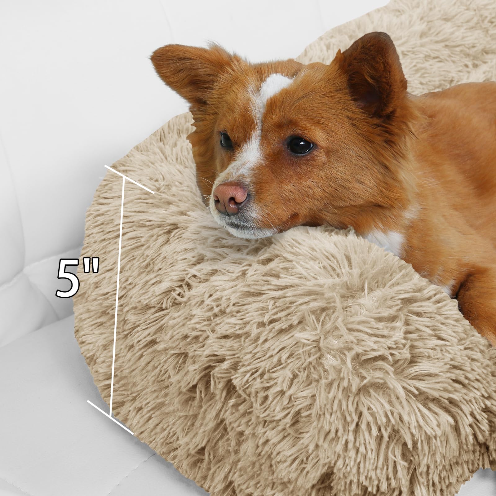 Calming Dog Bed Fluffy Plush Dog Mat For Furniture Protector With Removable Washable Cover For Large Medium Small Dogs And Cats (Xs (31'X23.5'X5'), Beige)