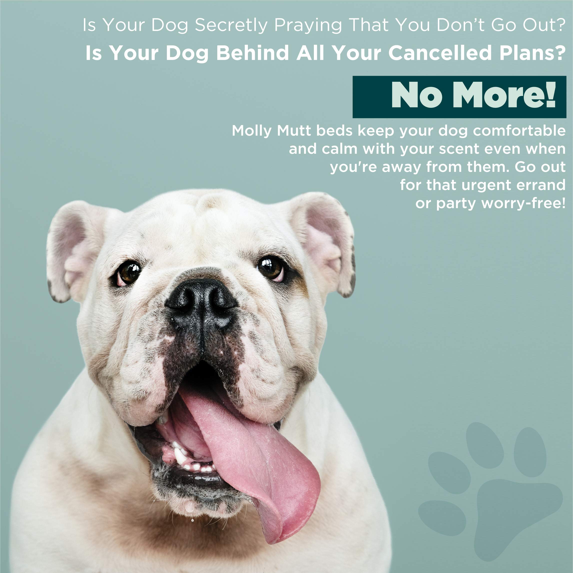 Molly Mutt Washable Stuff Sack, Sustainable Mesh Dog Bed Mattress, Medium/Large, 27.0'L X 4.0'W X 36.0'Th