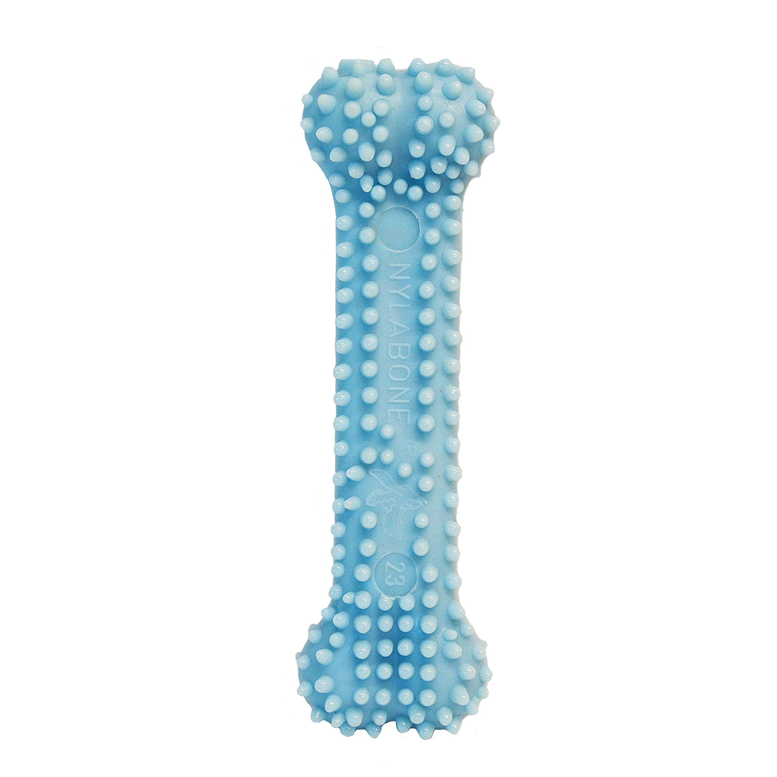 Nylabone Puppy Chew Blue Textured Teething Bone - Chewing Toys for Puppies - Puppy Supplies - Chicken Flavor, X-Small, Up to 15