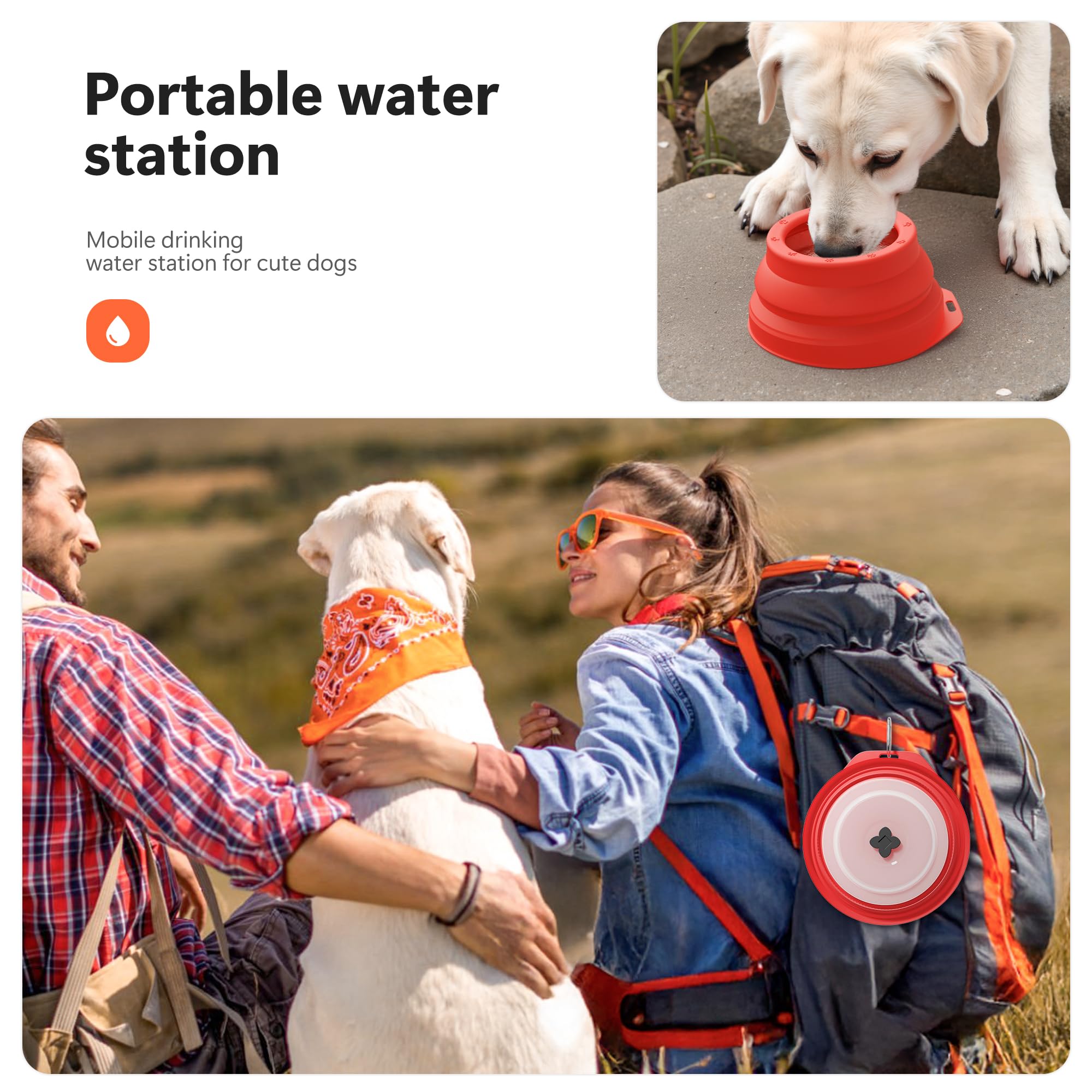 Li&Zhao Collapsible Dog Bowls - Silicone Travel Dog Bowls With Cover Lids Portable Expandable Pet Bowl Portable Water For Dog Ca