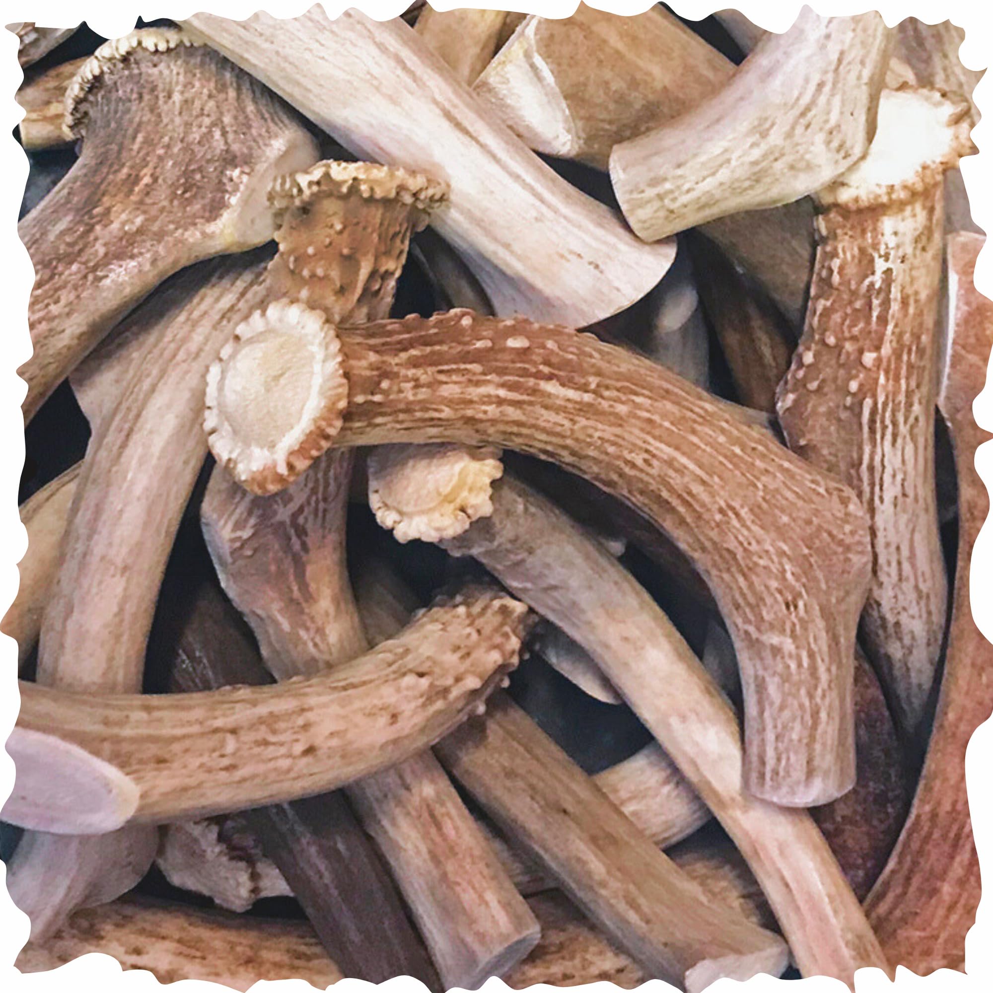 WhiteTail Naturals - Bulk Deer Antlers for Dogs (1 Pound Pack) Antler Chews - Naturally Shed, Long Lasting Dog Bones for Aggress