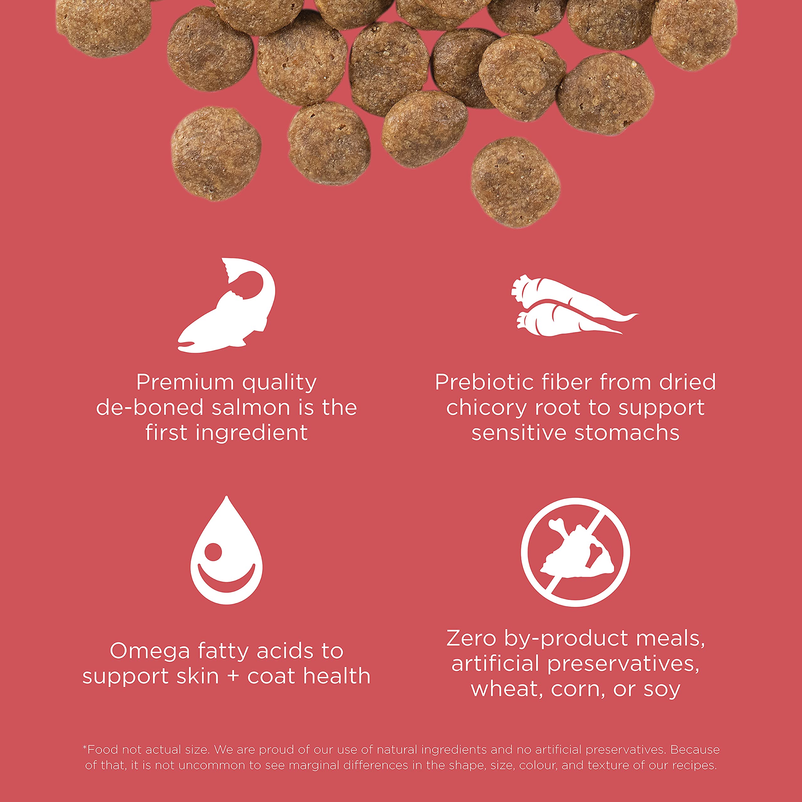 Go! Solutions Sensitivities Limited Ingredients, Grain-Free Dry Dog Food, Salmon Recipe for Sensitive Stomach, 12 lb Bag