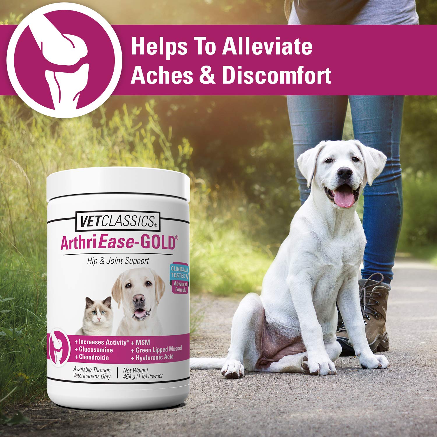 Vet Classics ArthriEase-Gold Hip & Joint Support for Dogs, Cats- Pet Health Supplement Powder - Alleviates Aches, Discomfort - F