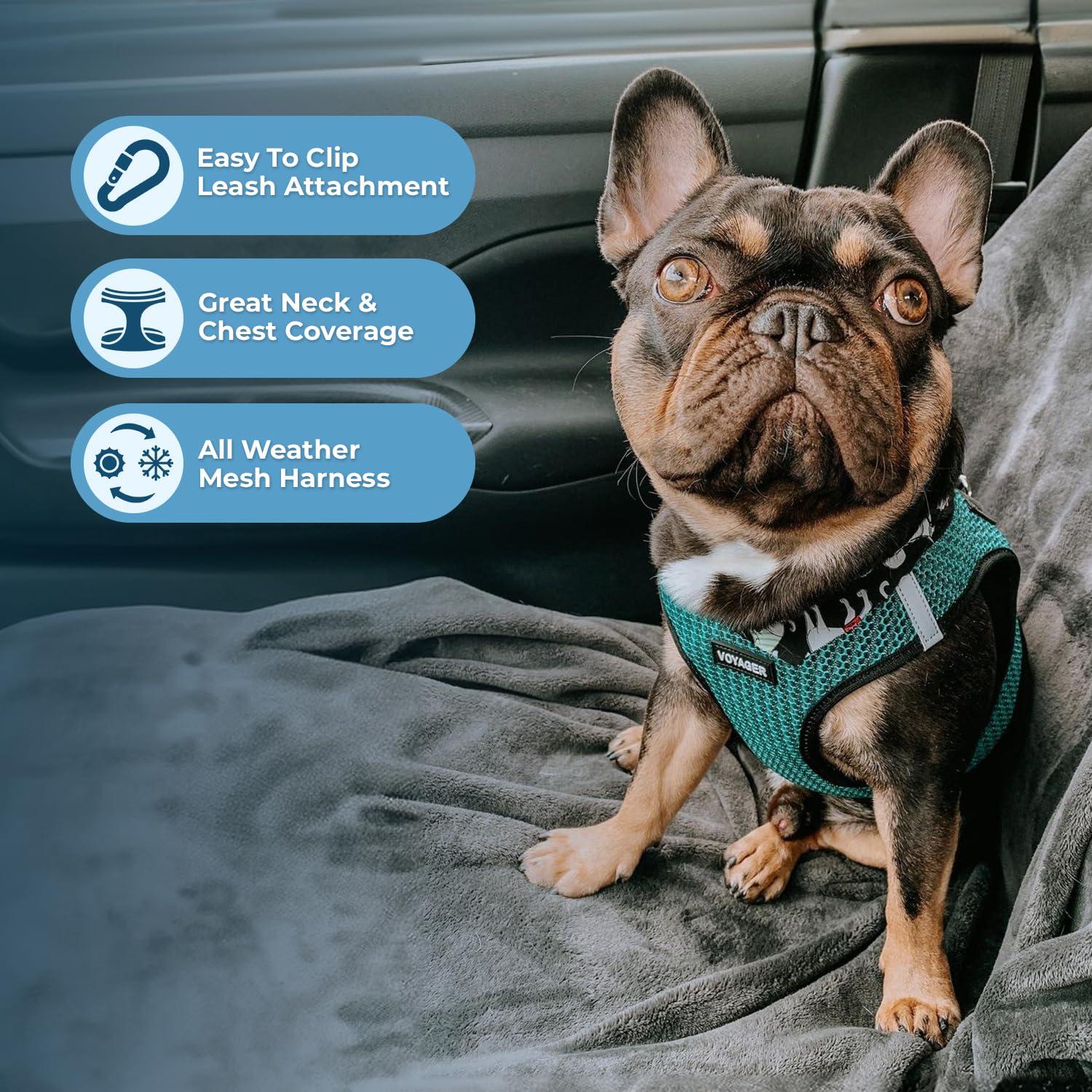 Voyager Step-In Air Dog Harness - All Weather Mesh, Reflective, No Pull Harness For Small, Medium Dogs, Cats - Secure With Hook & Loop Fastener, Buckle, Double D-Rings - Turquoise 2-Tone, Xs