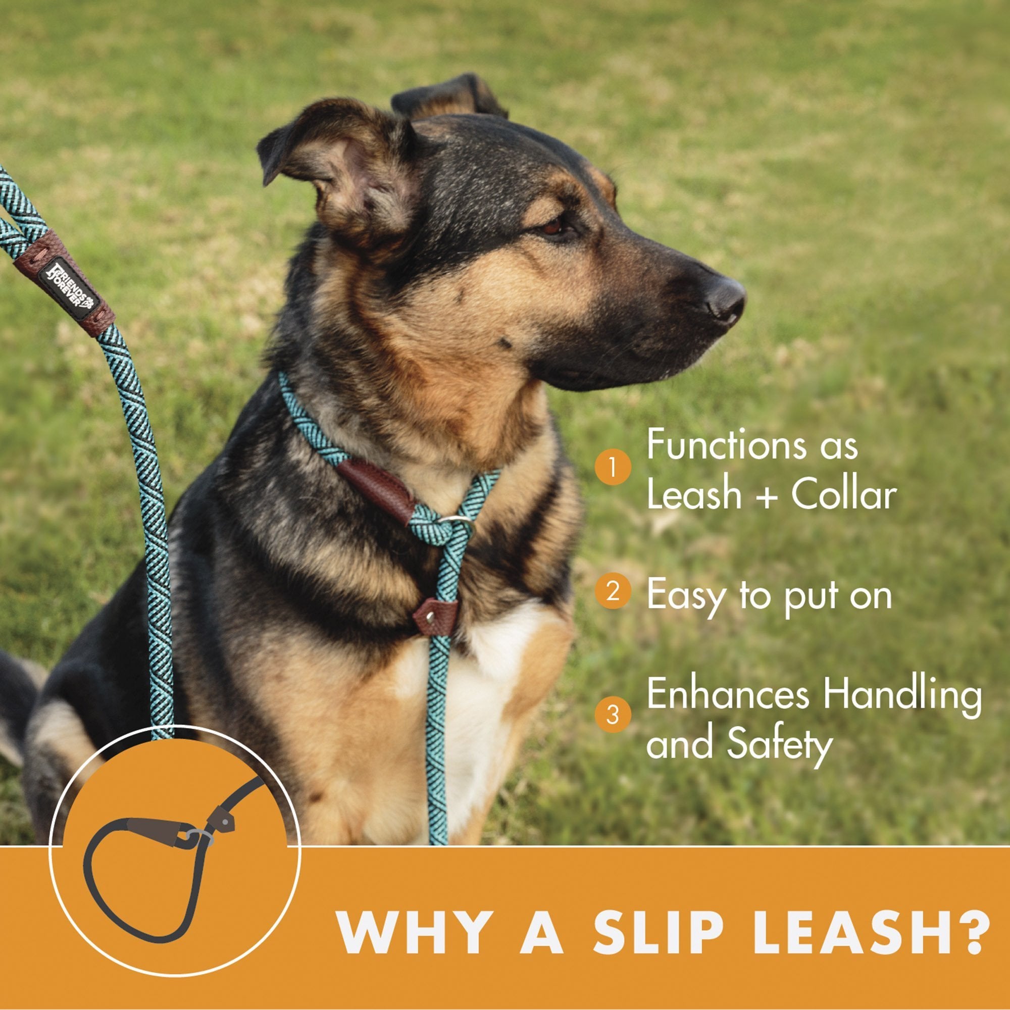 Friends Forever Dog Rope Leash - Durable 6ft Reflective Training Slip Lead, Heavy Duty Nylon, Silver