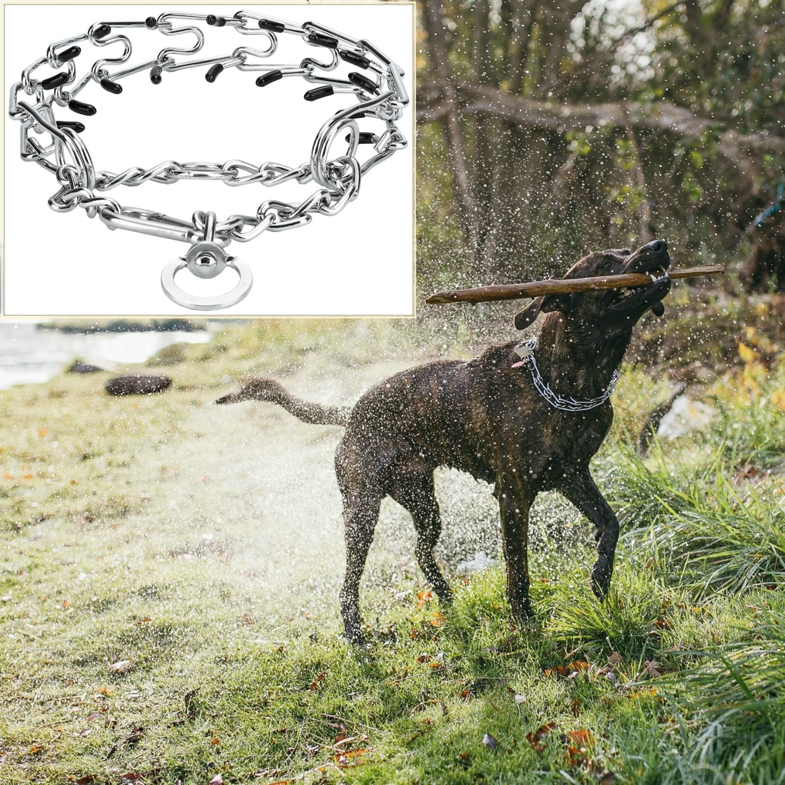 Deyace Dog Pinch Collar, Adjustable Quick Release Choke Training Collar, Stainless Steel Prong Collar For Large Medium Small Dogs