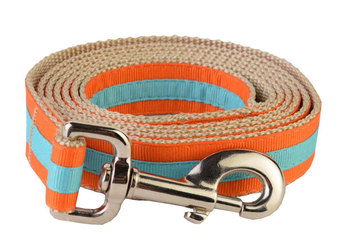 Paw Paws Usa Prep School Shep Dog Leash, Medium, Multicolored