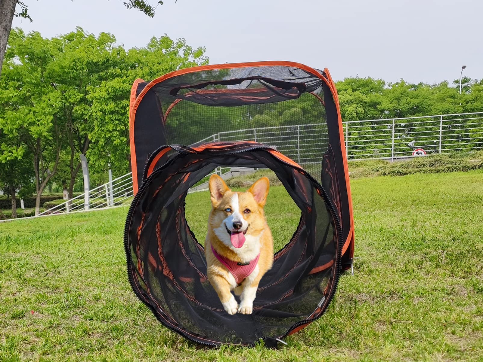 6 In 1 Pet Cat And Dog Tunnel Tent Foldable Pet Tent Outdoor Pop Up Pet Playpen Cage Fences House (Styles 1)