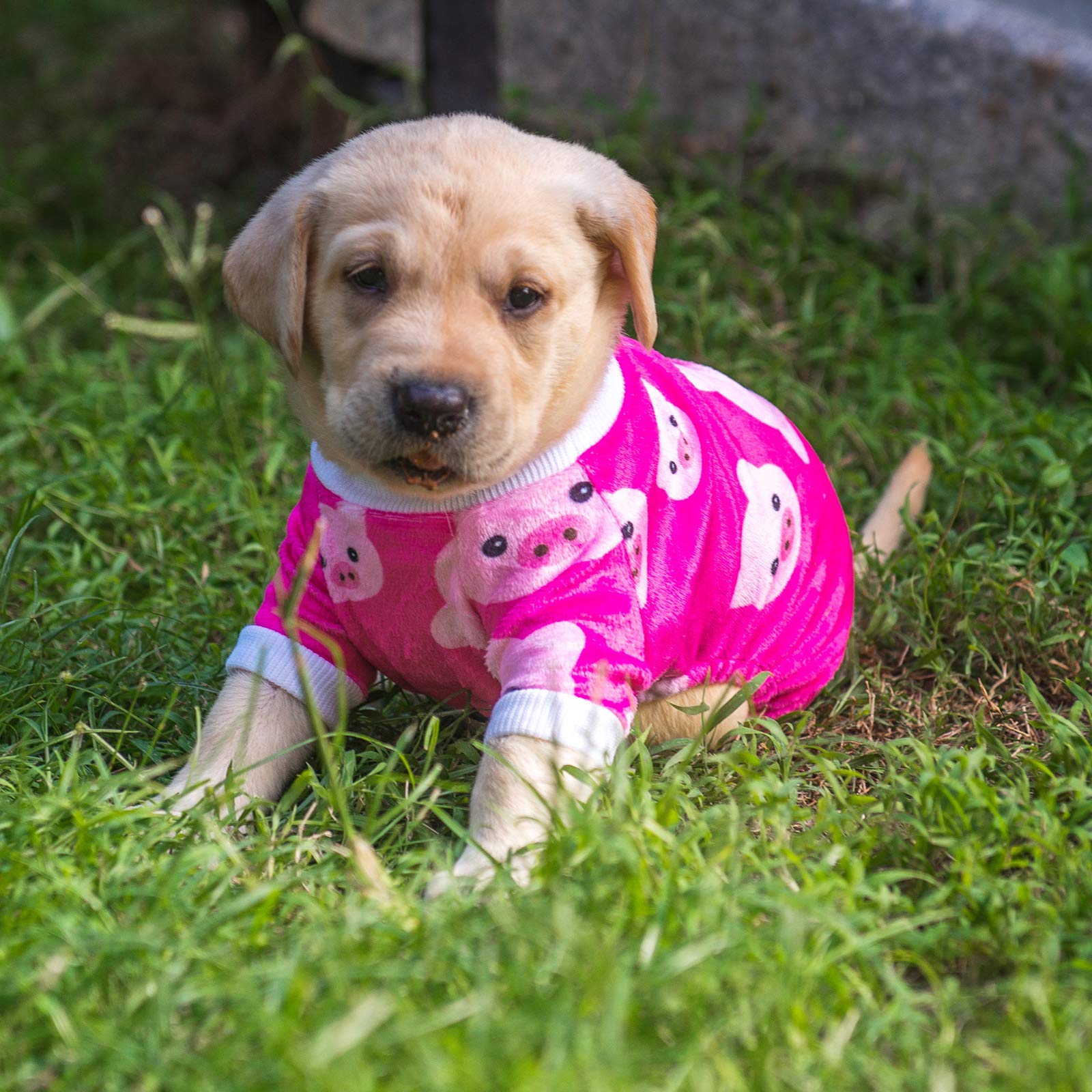 Cutebone Pink Pig Dog Pajamas Cute Cat Clothes Pet Pjs Onesie, Xs P46Xs