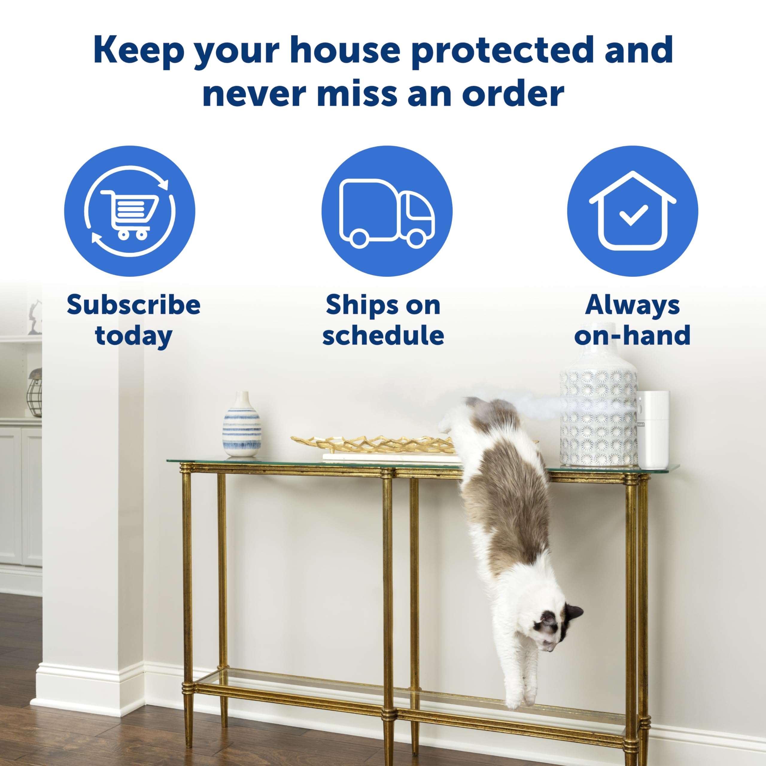 Petsafe Ssscat Refill Can For Motion Activated Automatic Spray Pet Deterrent For Cats And Dogs