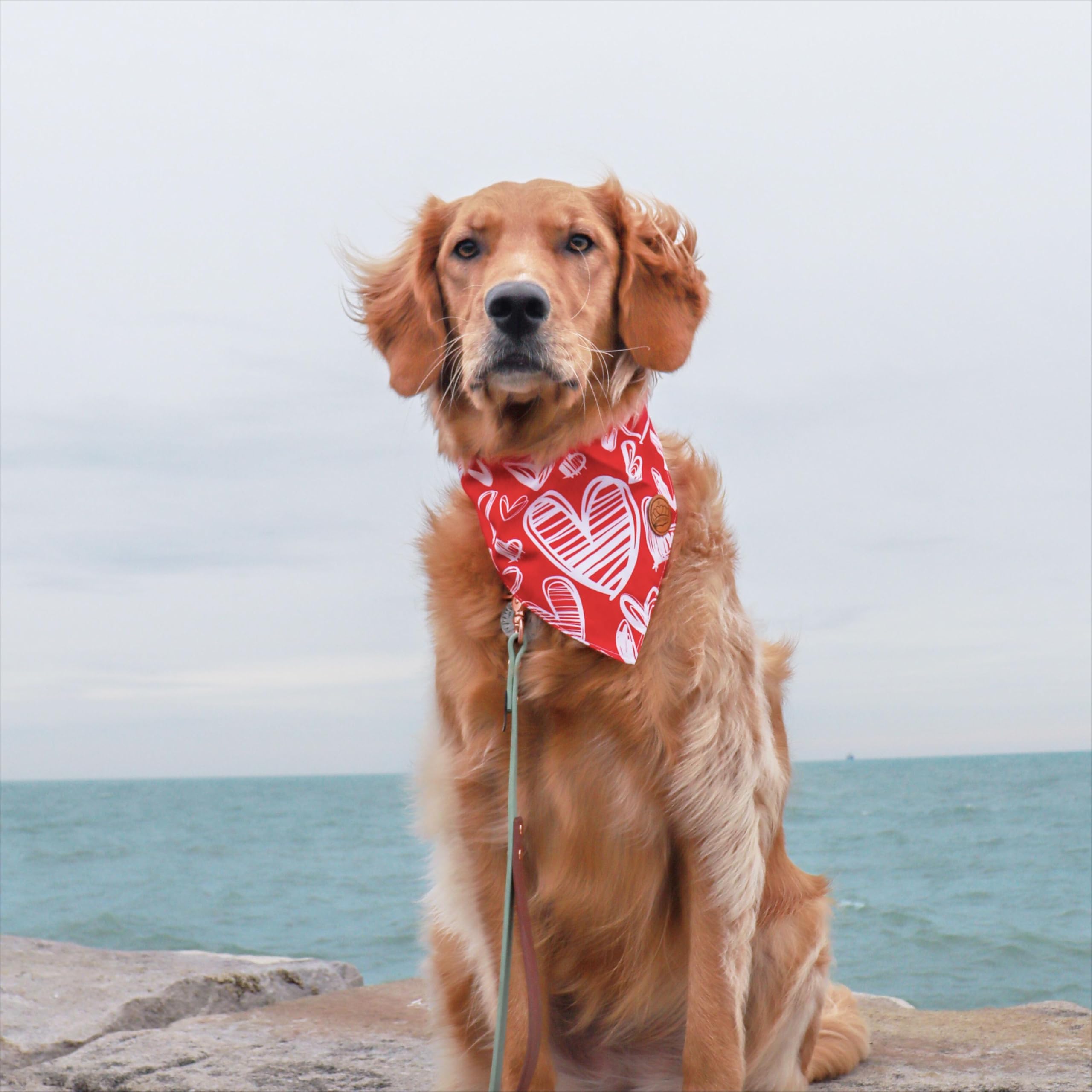 Crowned Beauty Valentines Day Dog Bandanas Large 2 Pack,Red Heart Adjustable Triangle Holiday Plaid Reversible Scarves For Mediu