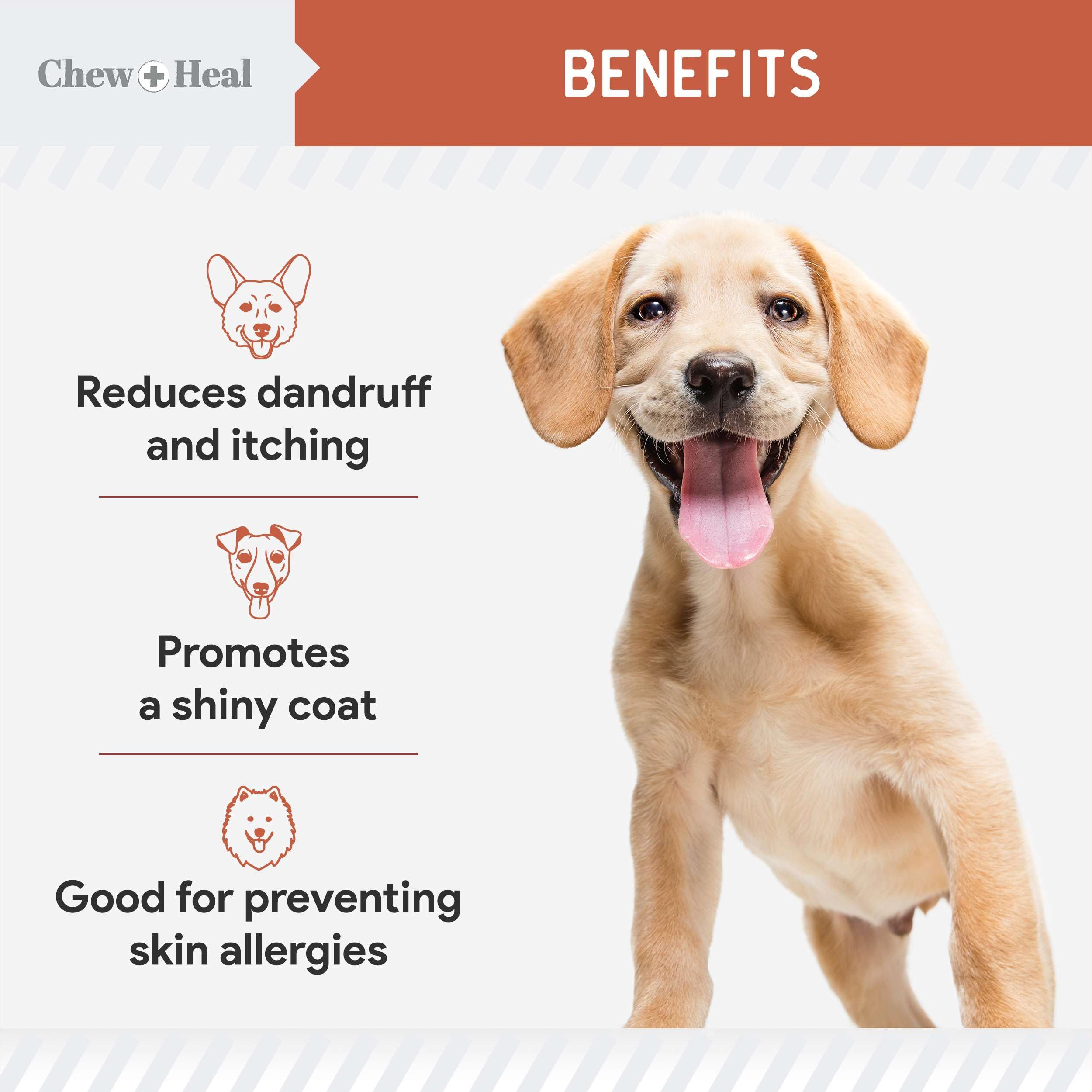 Salmon Oil for Dogs - Soft Chew Omega Treats for Skin and Coat - Fish Oil Blend of Essential Fatty Acids, Omega 3 and 6, Vitamin