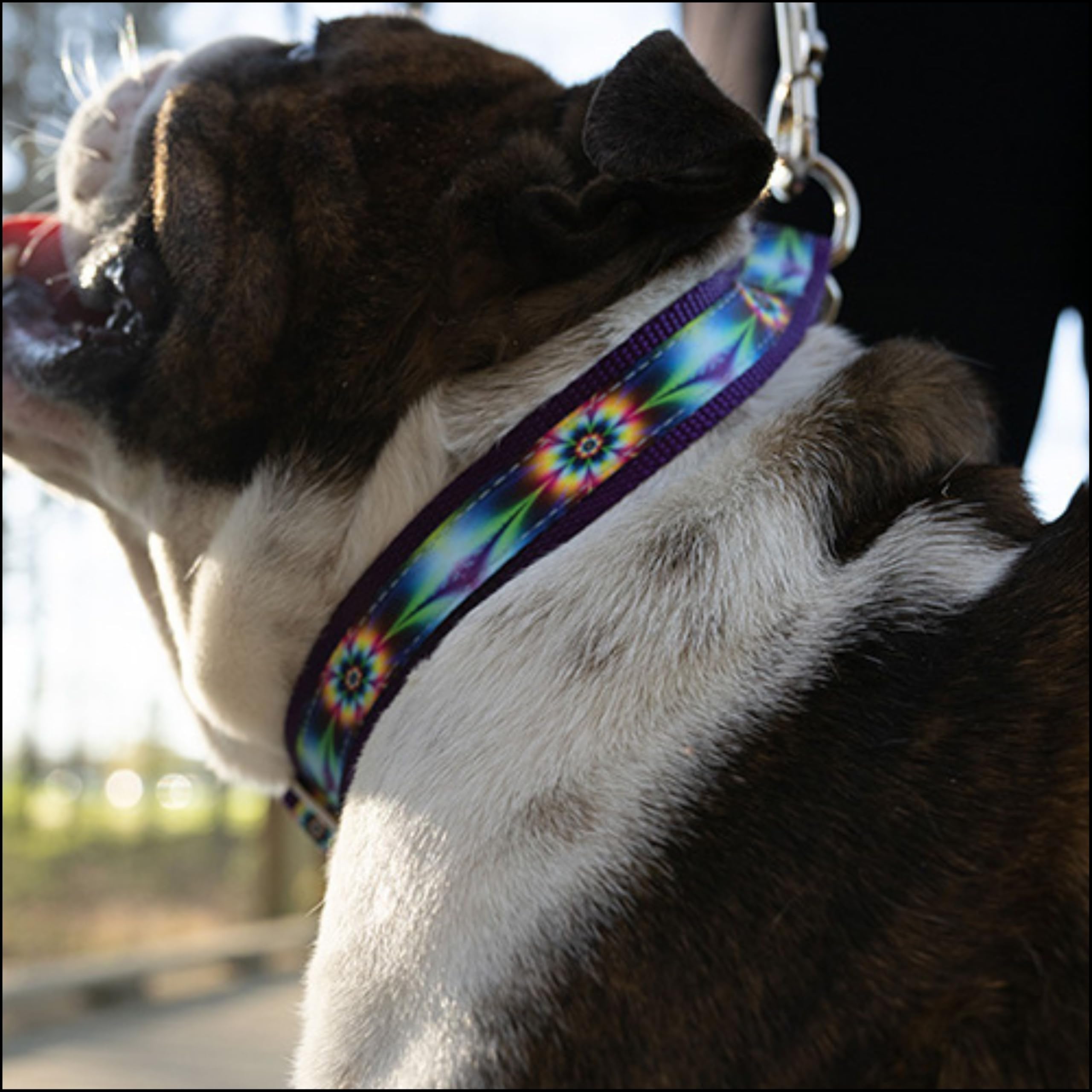 Country Brook Petz - Tie Dye Flowers Signature Martingale Dog Collar - Each Collar You Buy, A Collar Is Donated To A Shelter (1