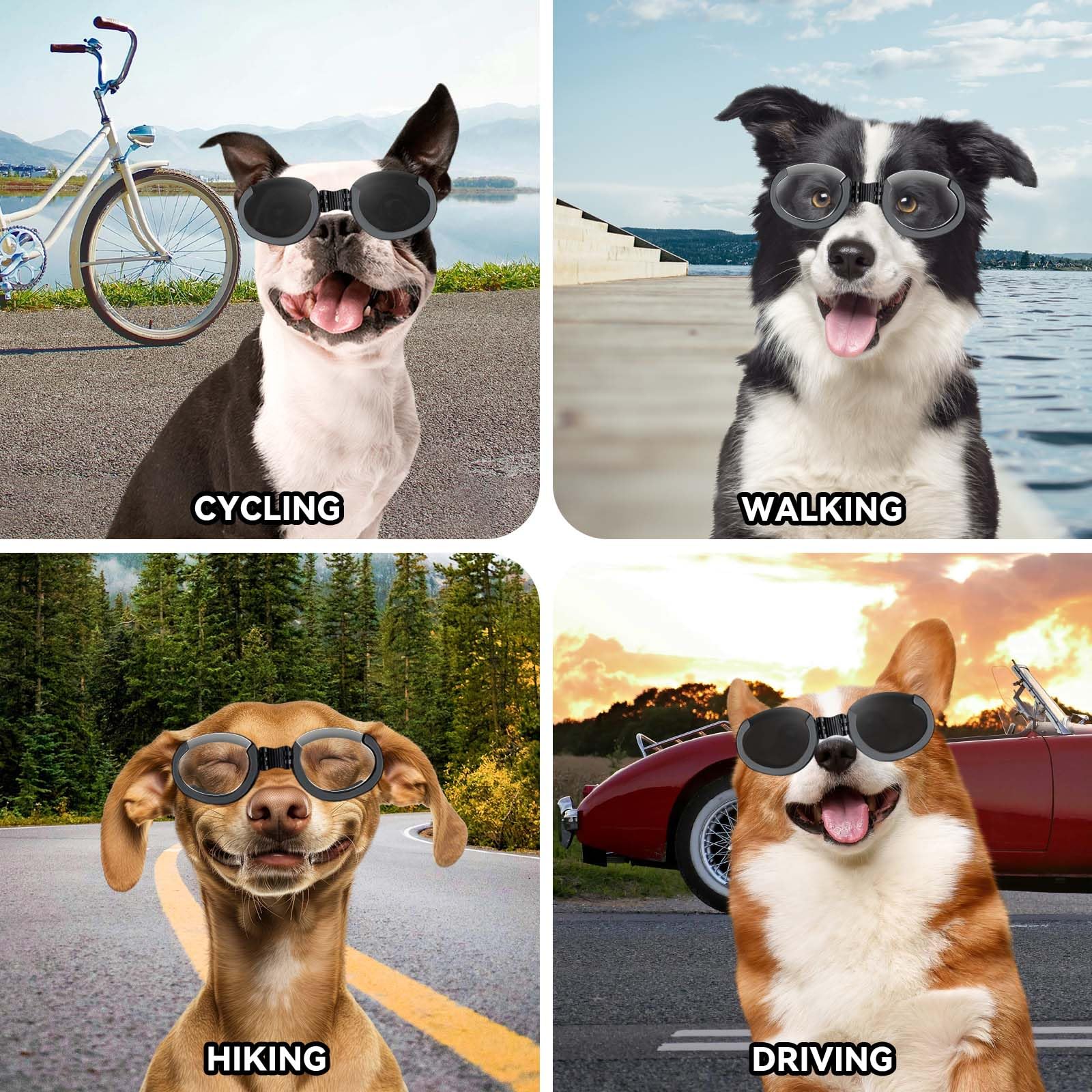 Petleso Dog Goggles Medium Breeds, Clear Uv Protection Dog Sunglasses With Black Replaceable Lenses, Adjustable Doggy Glasses Fo