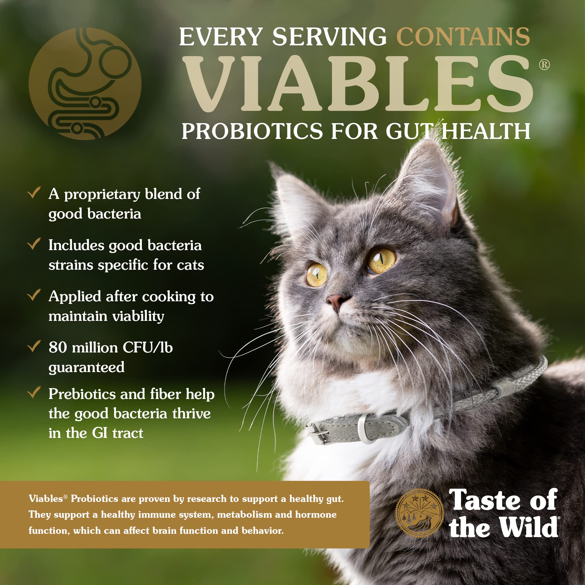 Taste Of The Wild Canyon River Grain-Free Dry Cat Food With Trout & Smoke-Flavored Salmon 5lb (Pack of 1)
