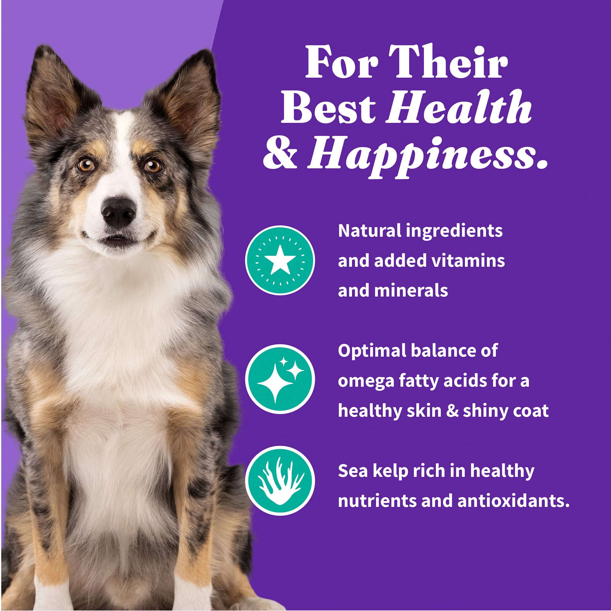 Halo Holistic Vegan Dog Food, Plant-Based Recipe with Kelp, Dry Dog Food, Complete Digestive Health, Kibble for Adult Dogs, 3.5