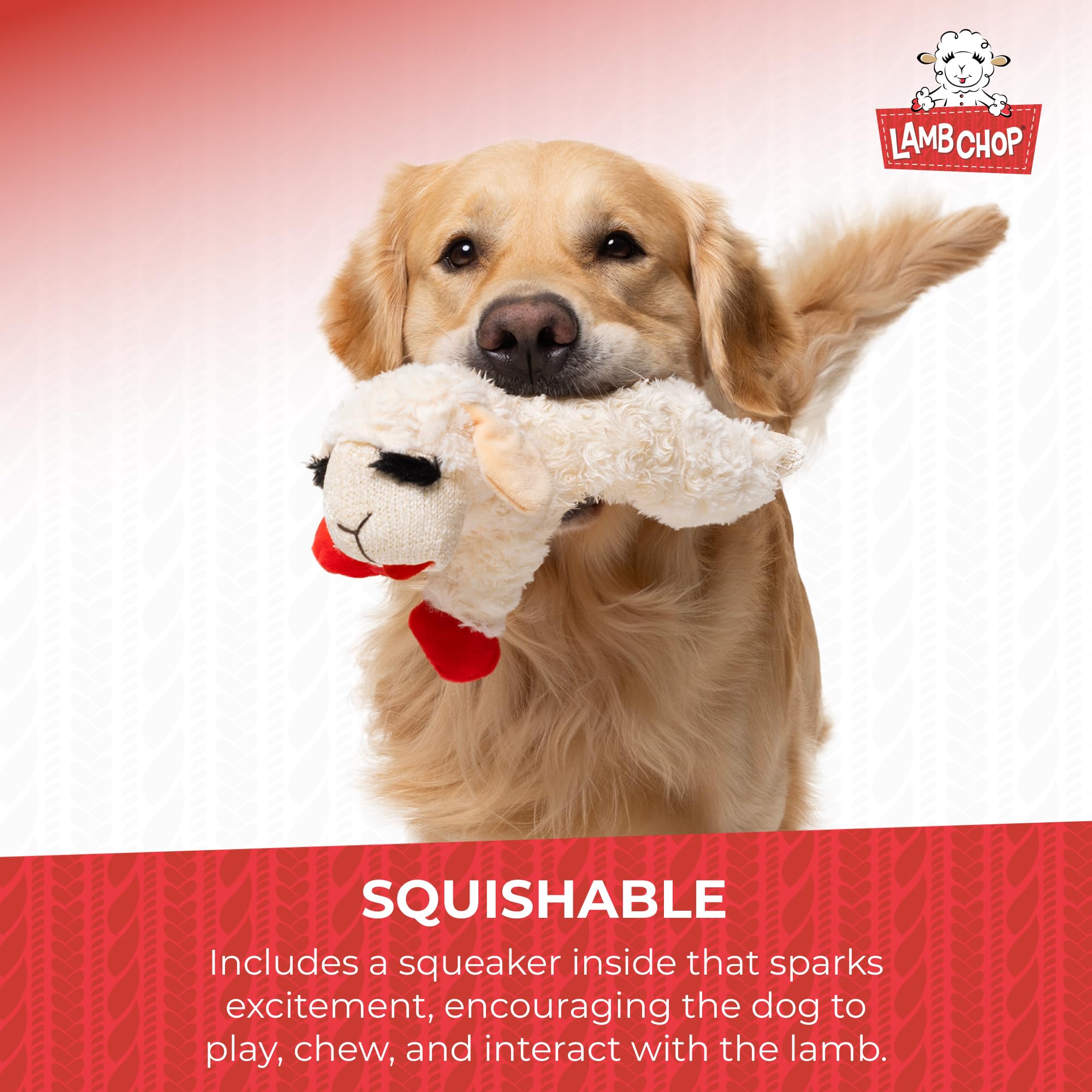 Multipet Mini Lamb Chop Officially Licensed, Plush, Squeak Pet Toy (White, 10)