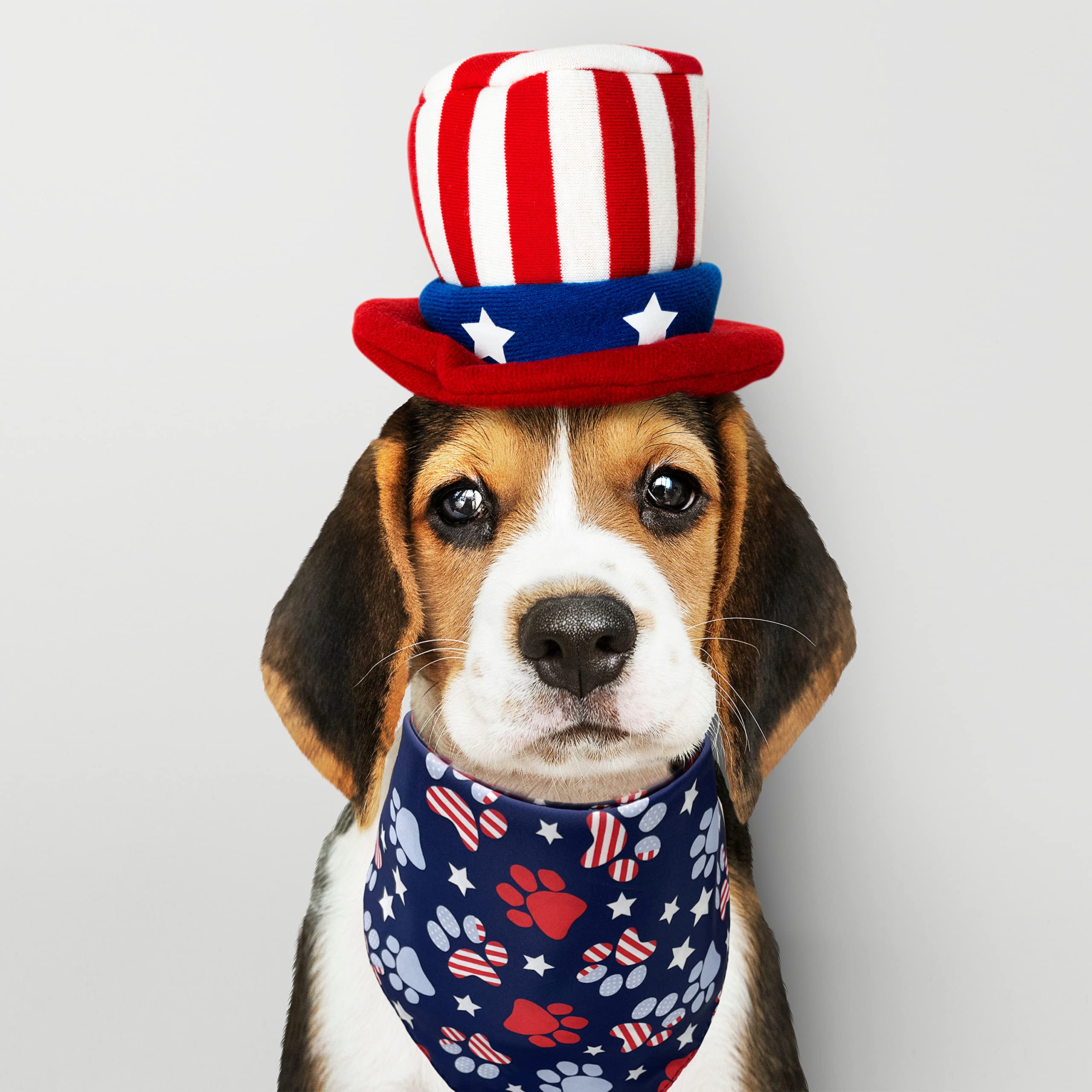 4Th Of July Dog Bandana, American Patriotic Cat Bandana For Large Medium Small Pets Puppies (Large)