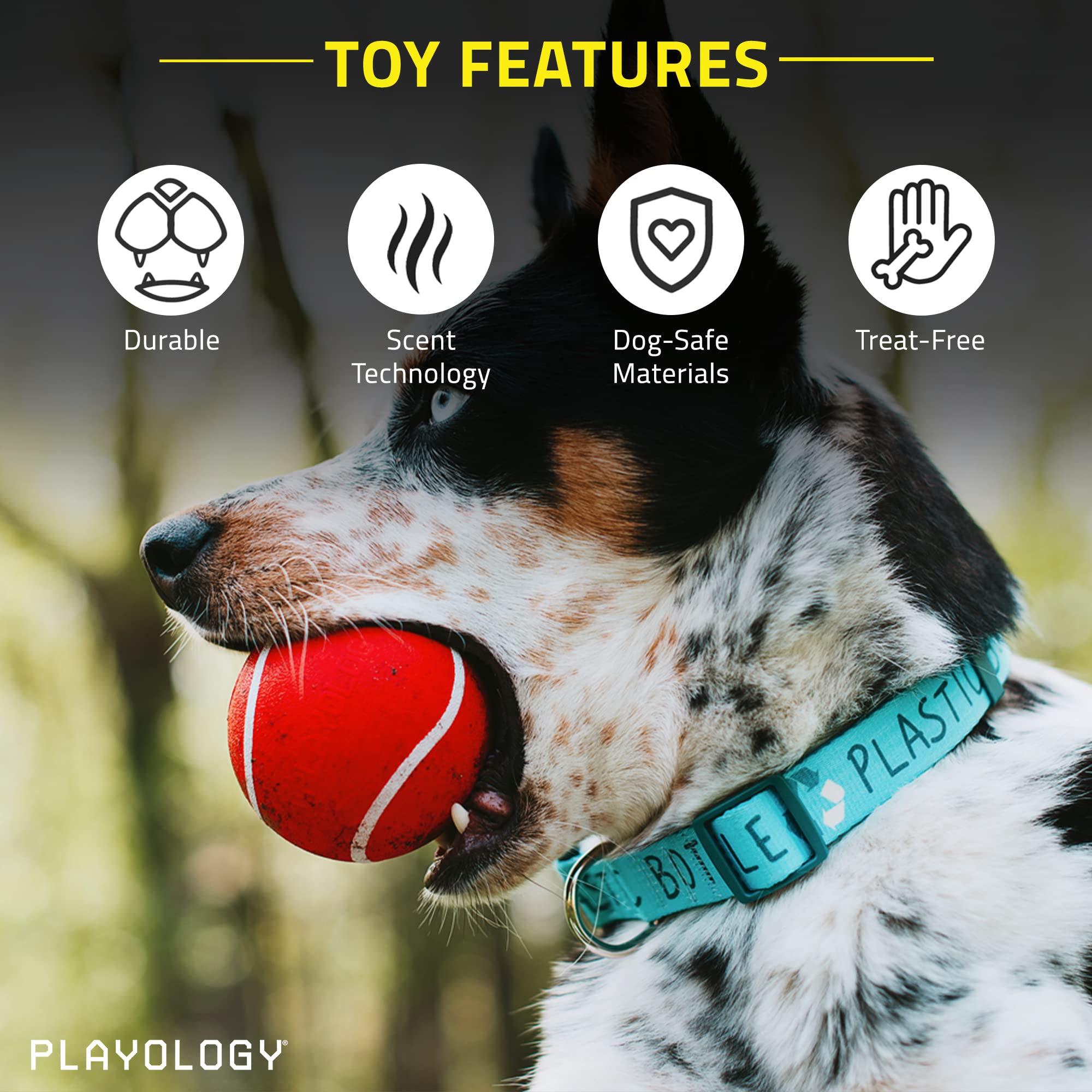 Playology Squeaky Chew Ball for Dogs | Engaging All-Natural Beef Scented Dog Toy for Medium Dogs up to 50lbs | Squeak, Fetch, an