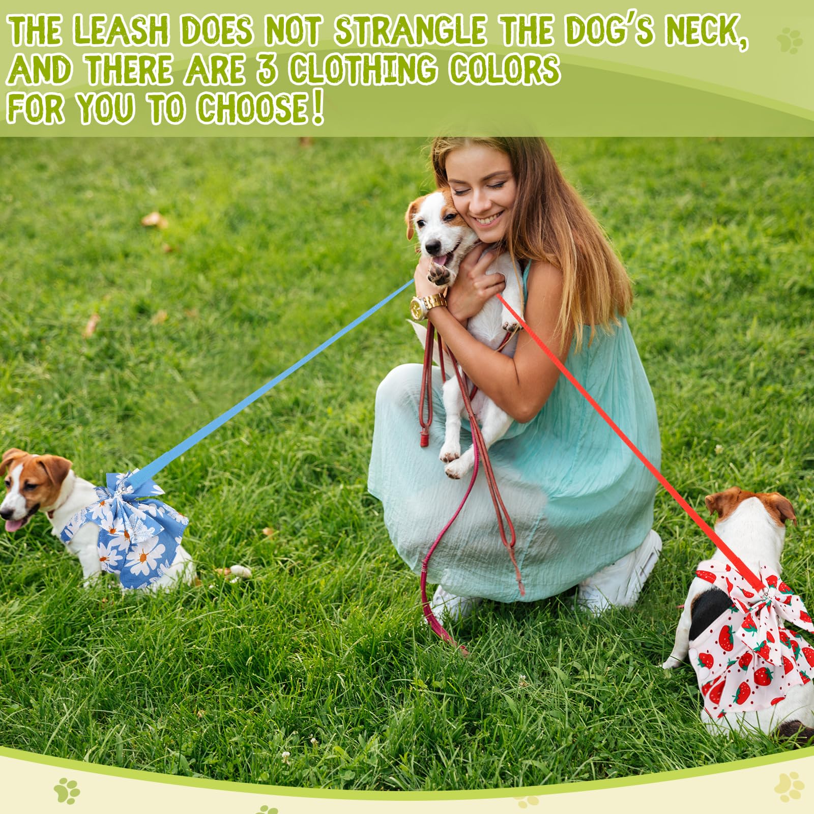 Bulyoou 3 Pieces Dog Harness Dress And Leash Set Cute Female Dog Dresses Assorted Styles Puppy Clothes Breathable Polyester Pet