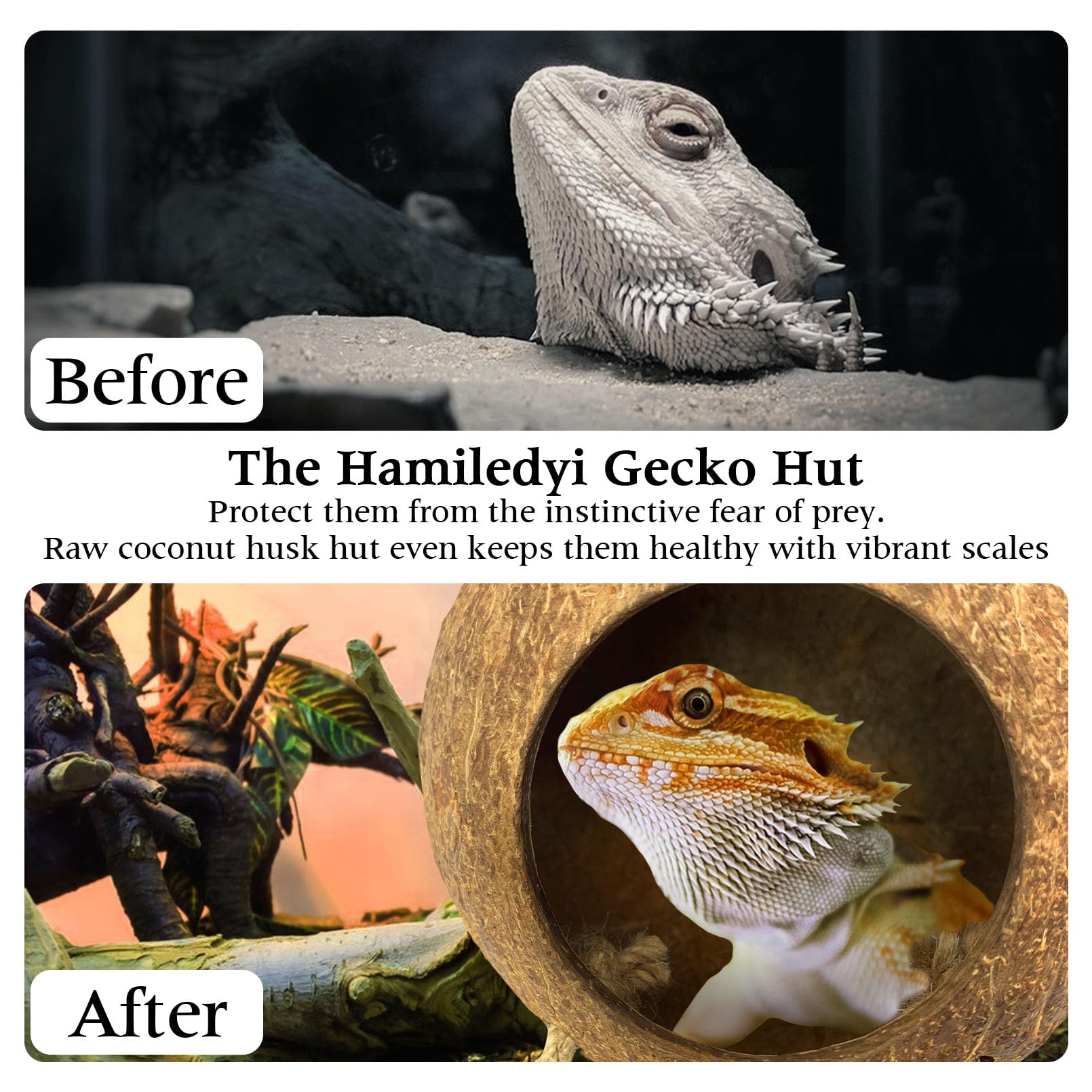 Hamiledyi Lizard Coco Den Reptile Hideouts Gecko Coconut Shell Hut Coconut hut for Geckos Bearded Dragon Tank Accessories Coconu