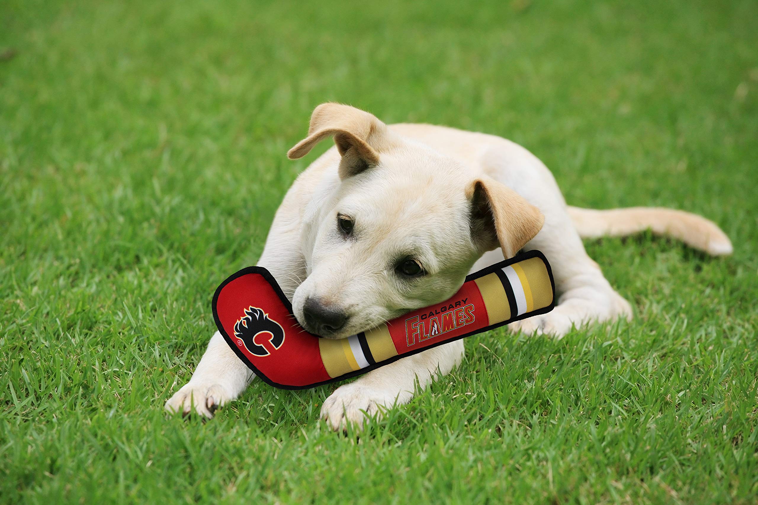 Pets First Cgy-3232 Pet Toy