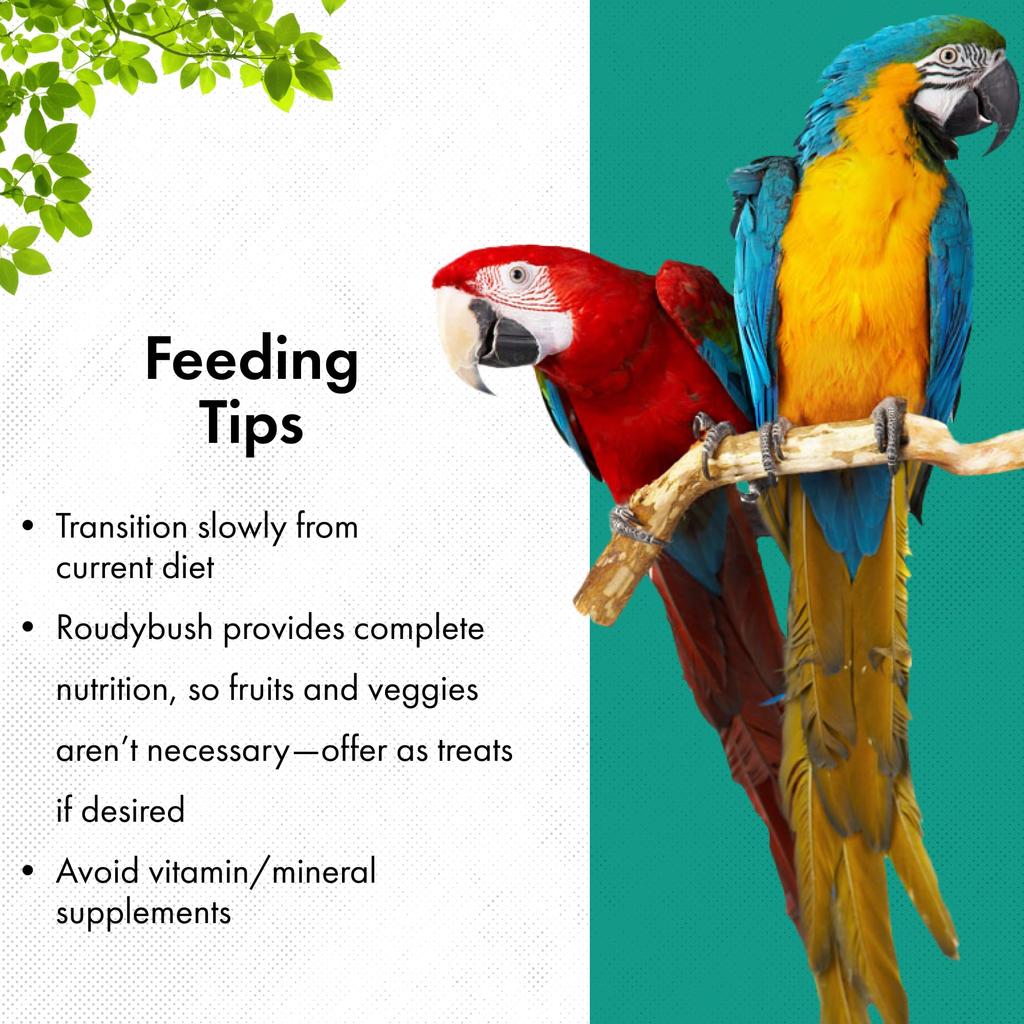 RoudyBush Daily Maintenance Bird Food, Medium, 10-Pound (Packaging May Vary)
