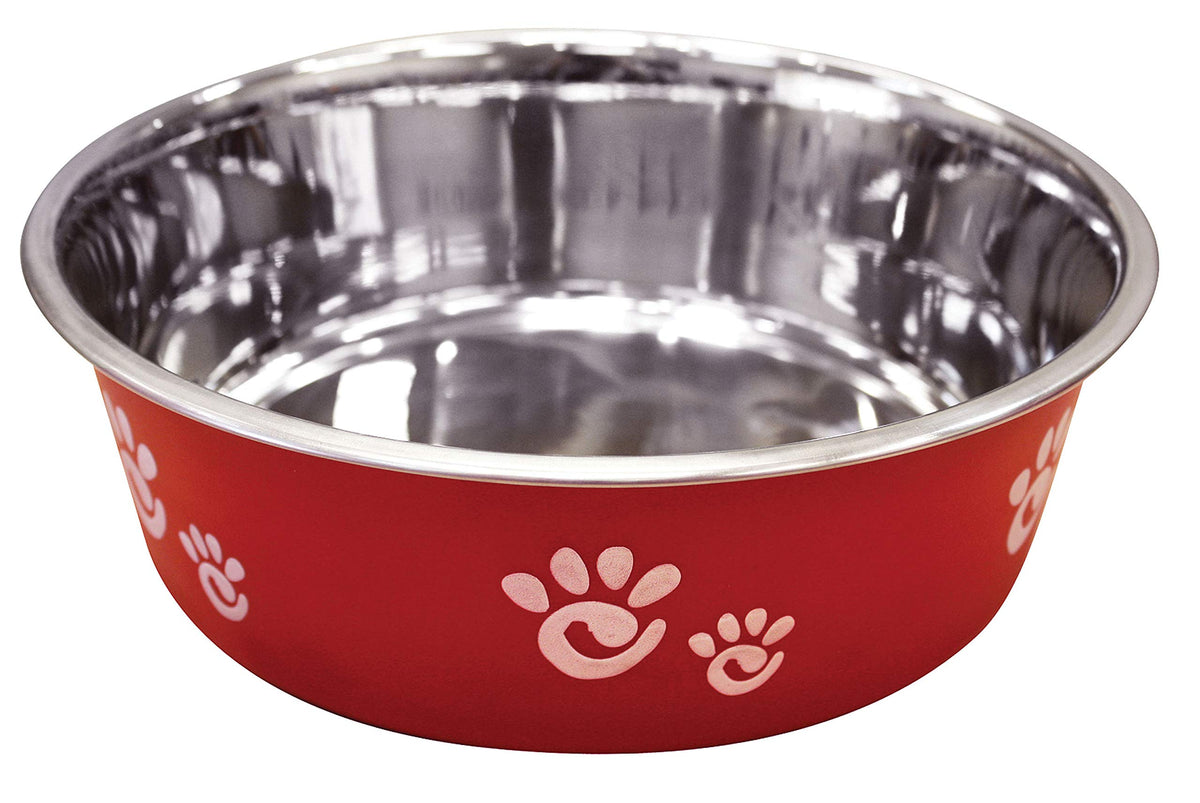 Ethical Pet Barcelona Matte And Stainless Steel Pet Dish, 64-Ounce, Raspberry