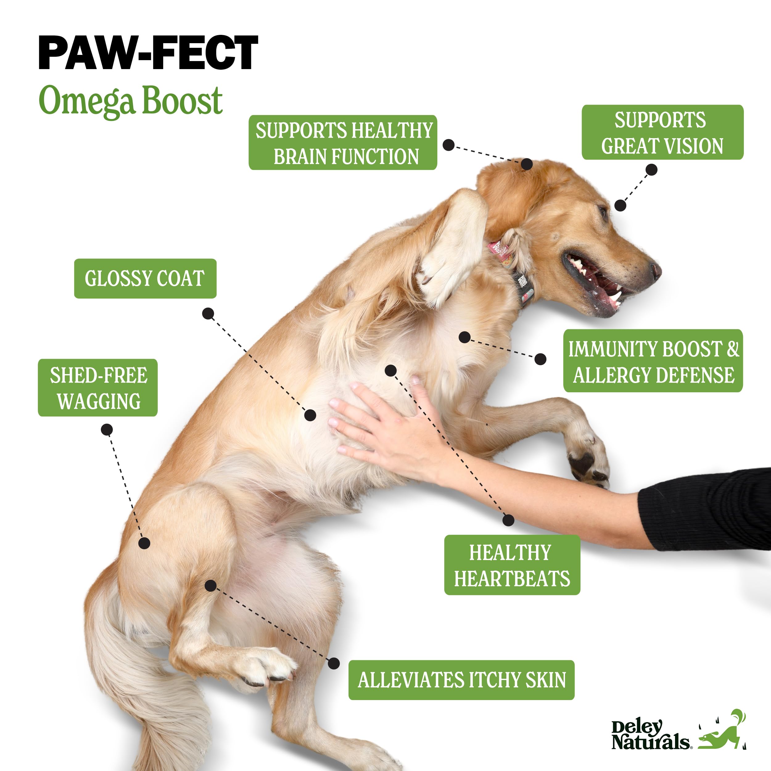 Deley Naturals Dog Fish Oil Icelandic 2X Omega - Dog Itching Skin Relief with Omega 3 6 9 for Allergies, Coat & Heart - Omega 3