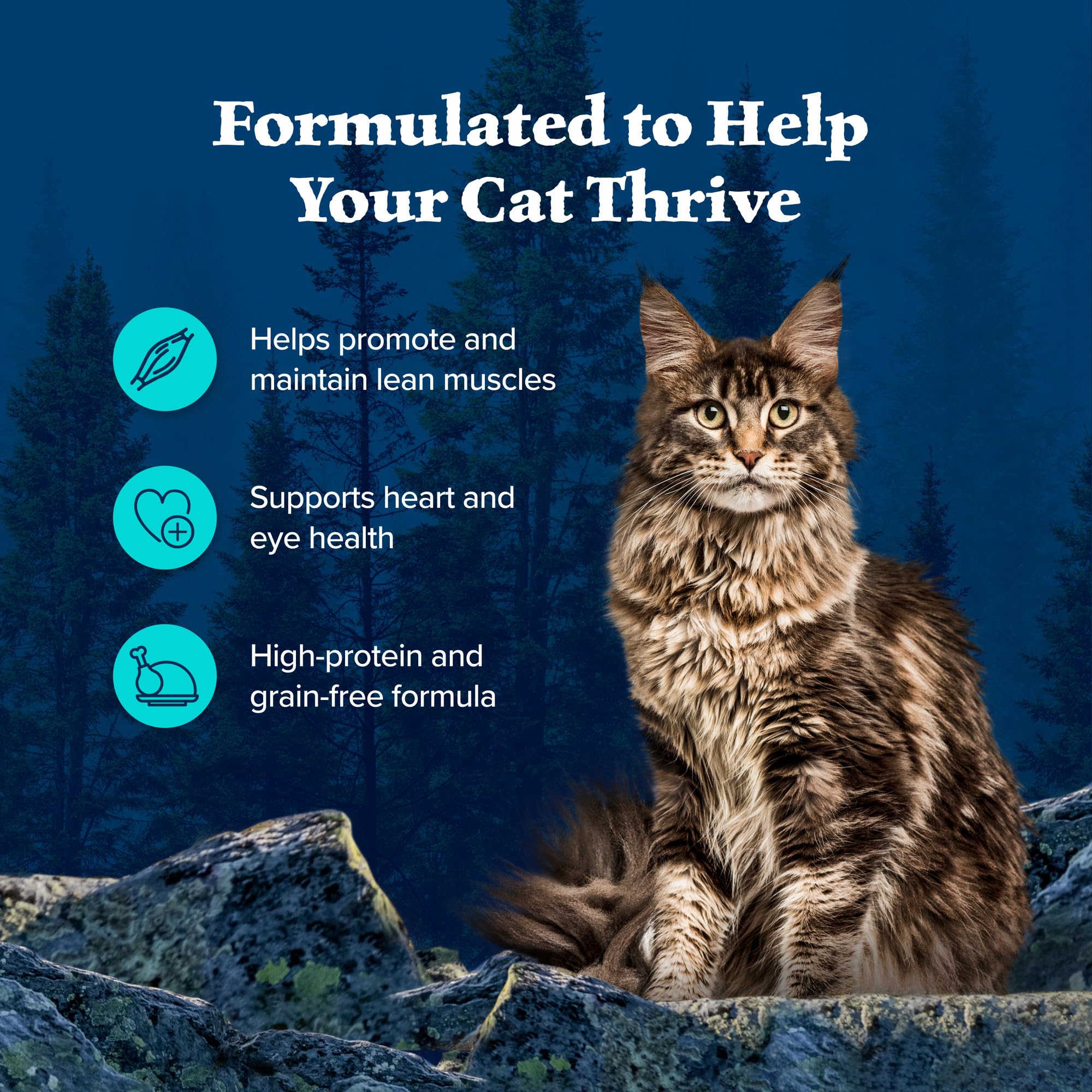 Blue Buffalo Wilderness Flaked Chicken & Trout Adult Wet Cat Food, 5.5 oz., Case of 24